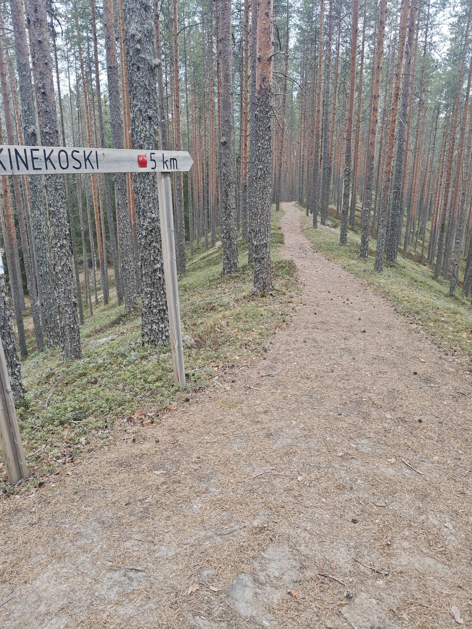 Makkarasärkkää