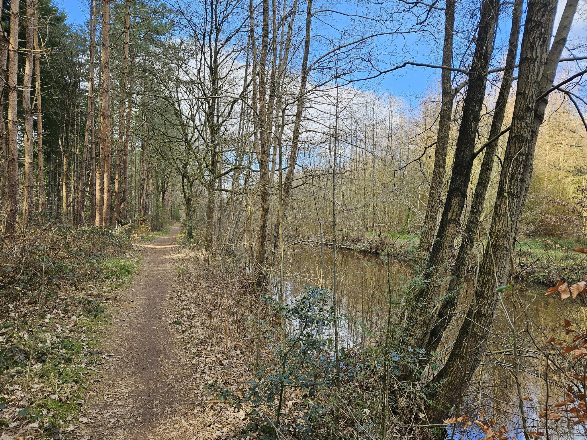 Langs het water