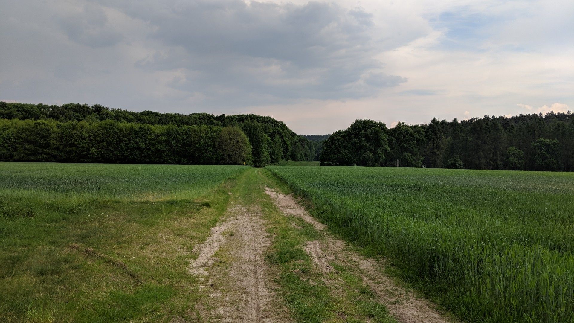 Naturpark Hoher Fläming | Am Wegesrand