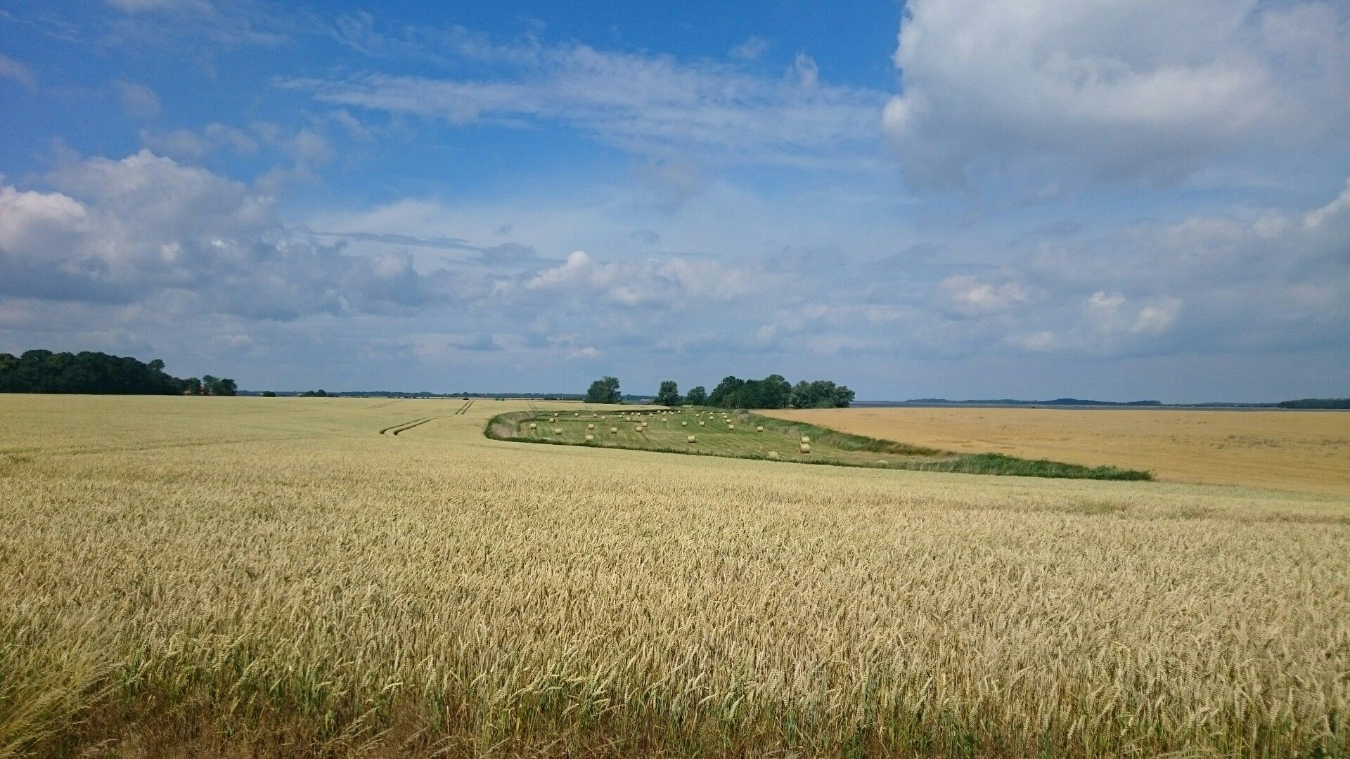 auf dem Weg nach Gingst 