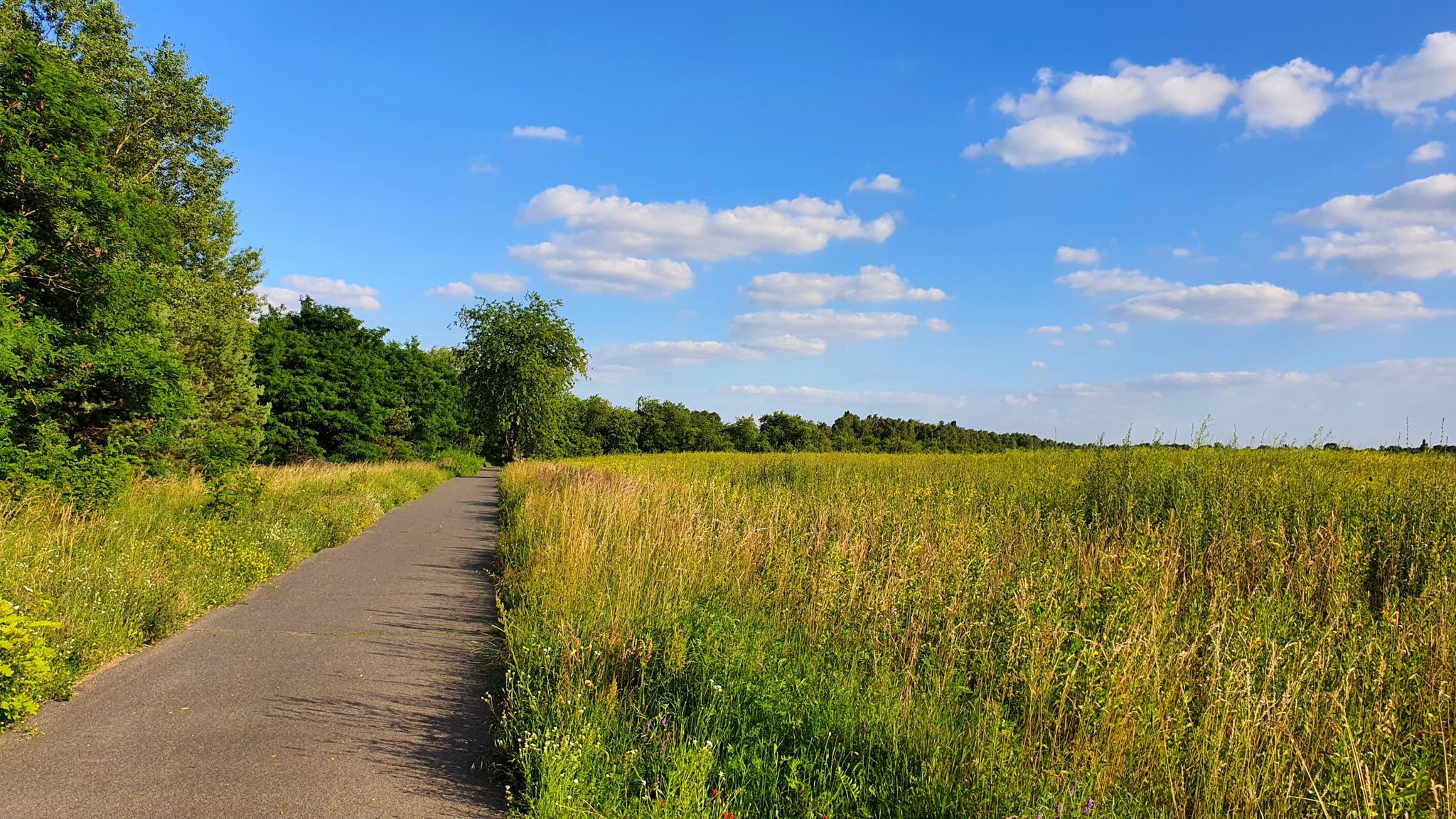 Ab Hohen Neuendorf bin ich dem Mauerweg bis Heiligensee gefolgt und dann nach Tegel