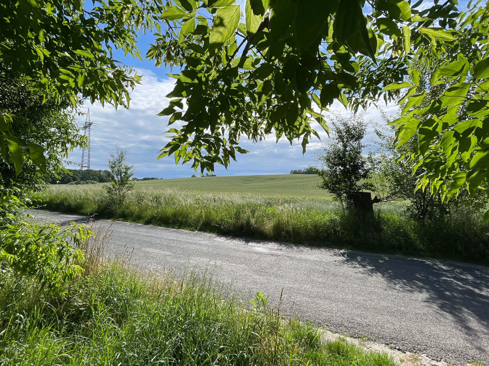 Der Waldweg trifft auf den Lankenweg, die nach Wusterwitz führende Landstr.