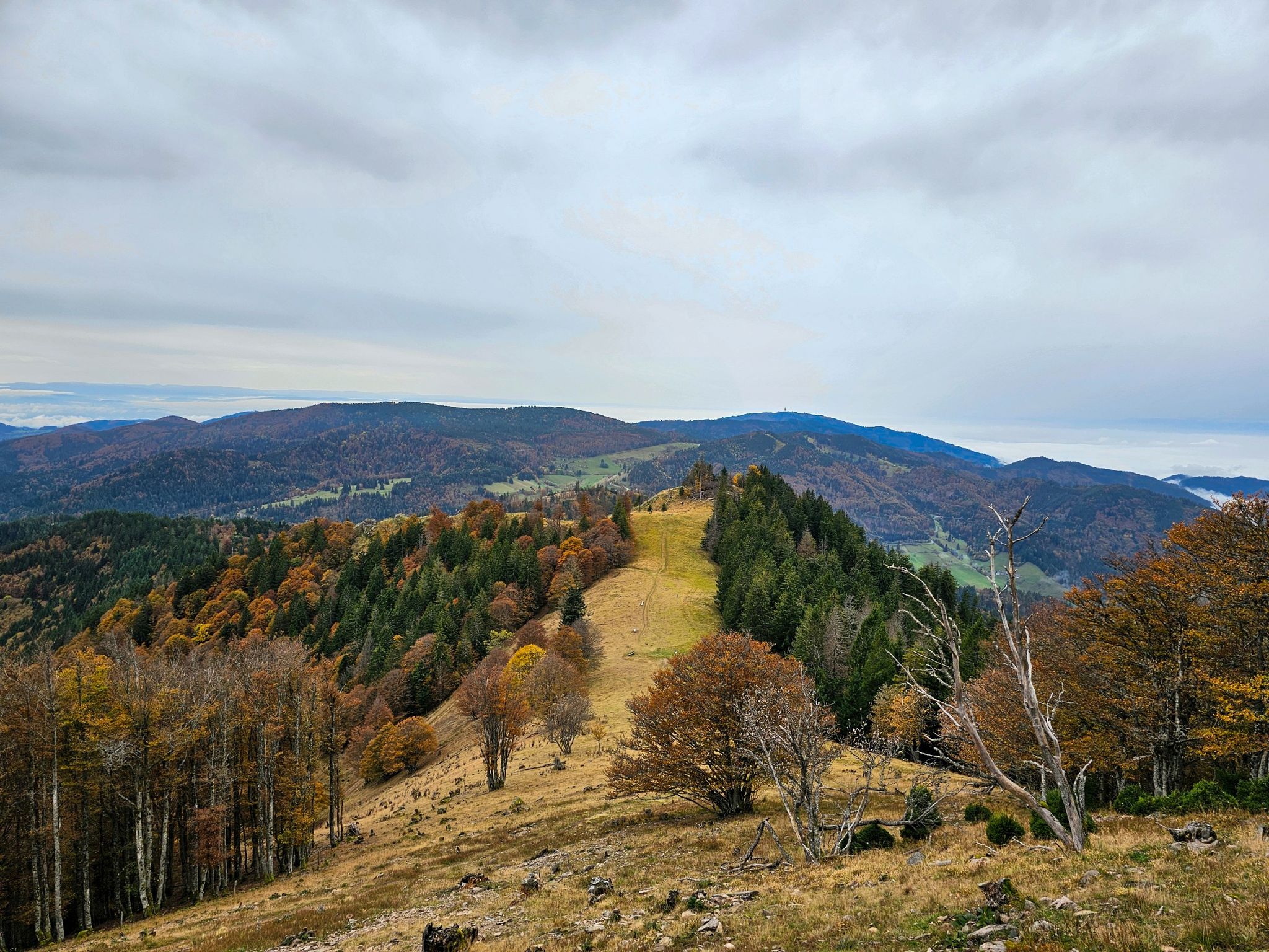 Blick zum Blauen