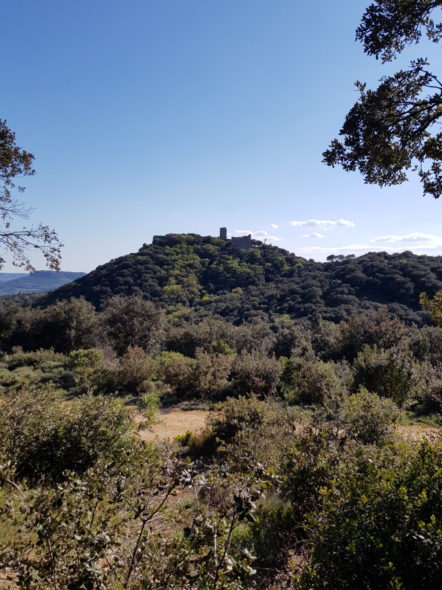 Le Château de Gicon au loin.