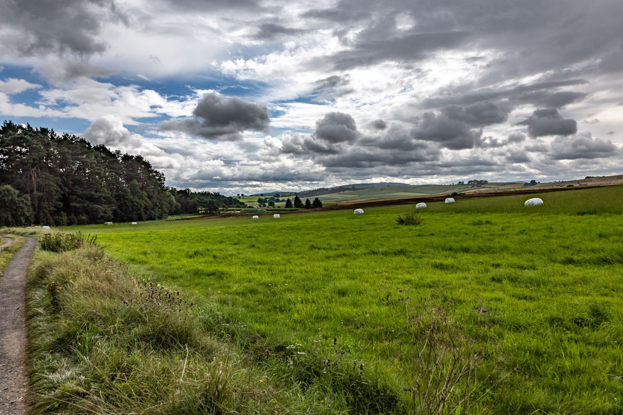 Verschweißte Heuballen auf abgemähter Wiese
