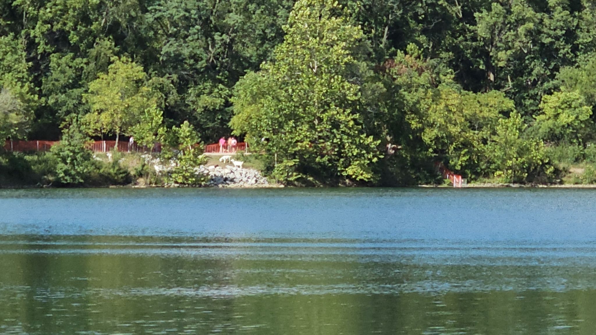 Bright lake with dense green forest and people on distant shore. - Antrim Lake Loop