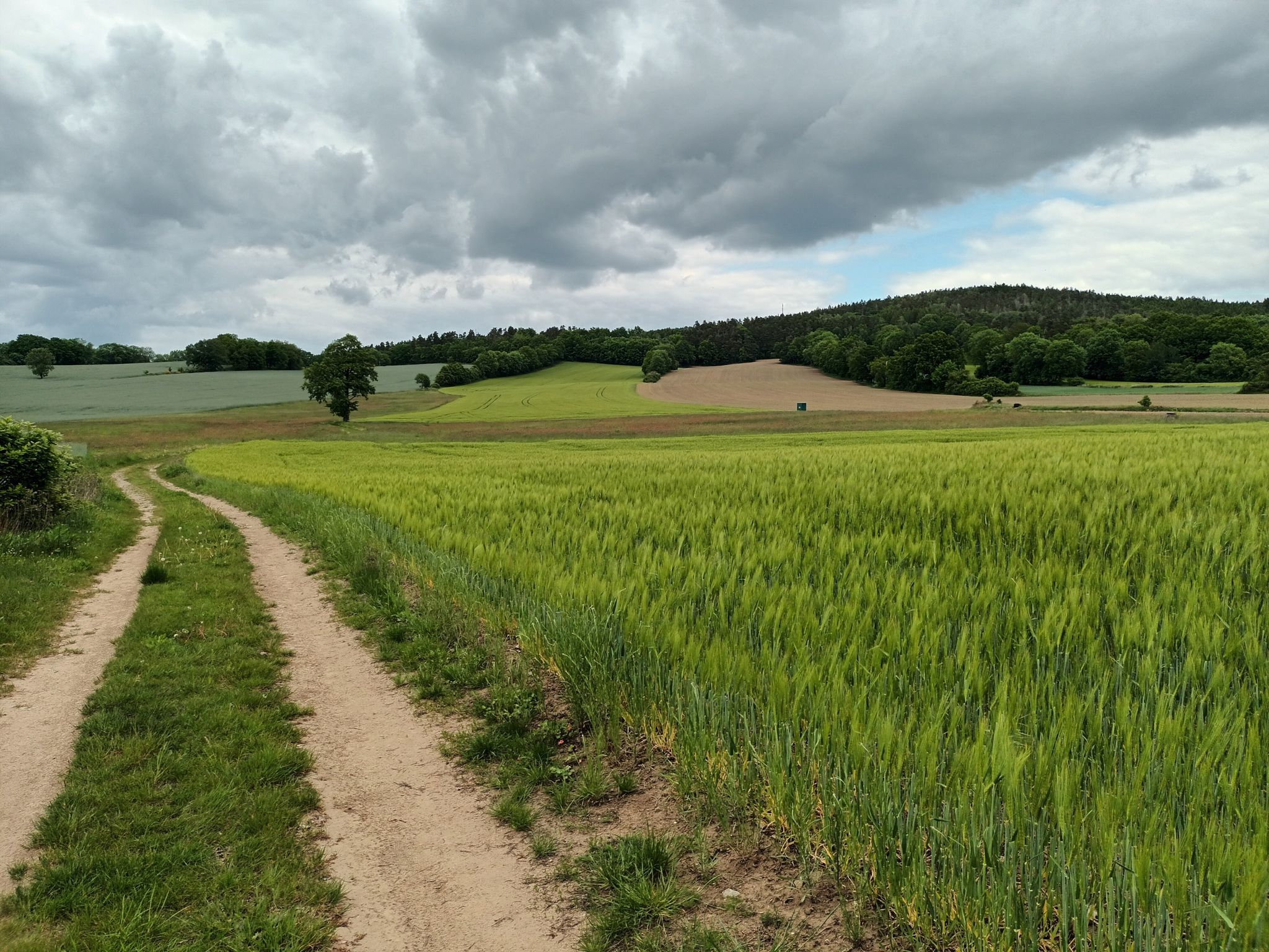 Keulenberg