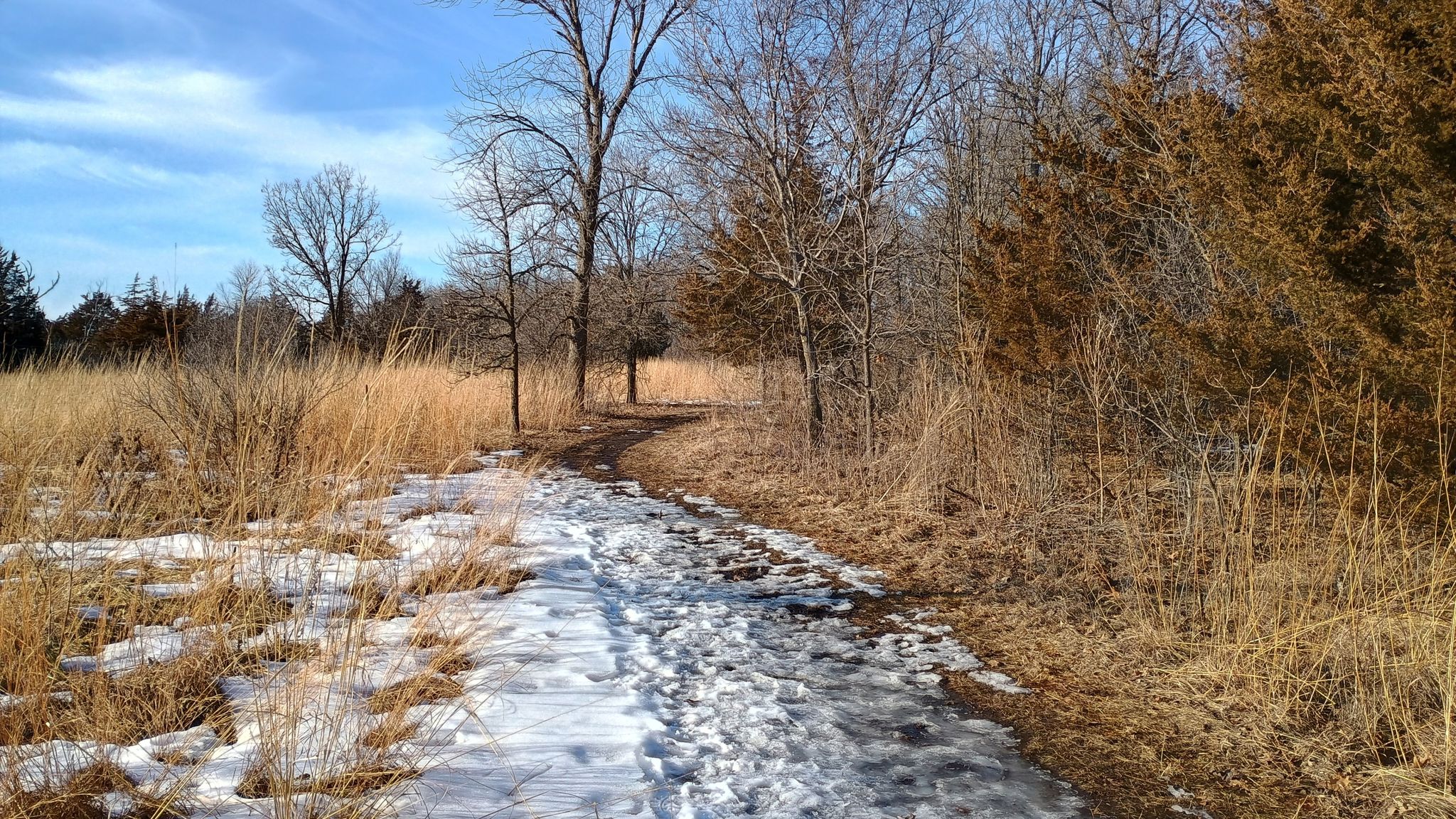 A snowy path winds through dry grass and bare trees under a blue sky. - Minneopa State Park – Seppman Mill loop from South Bend Township