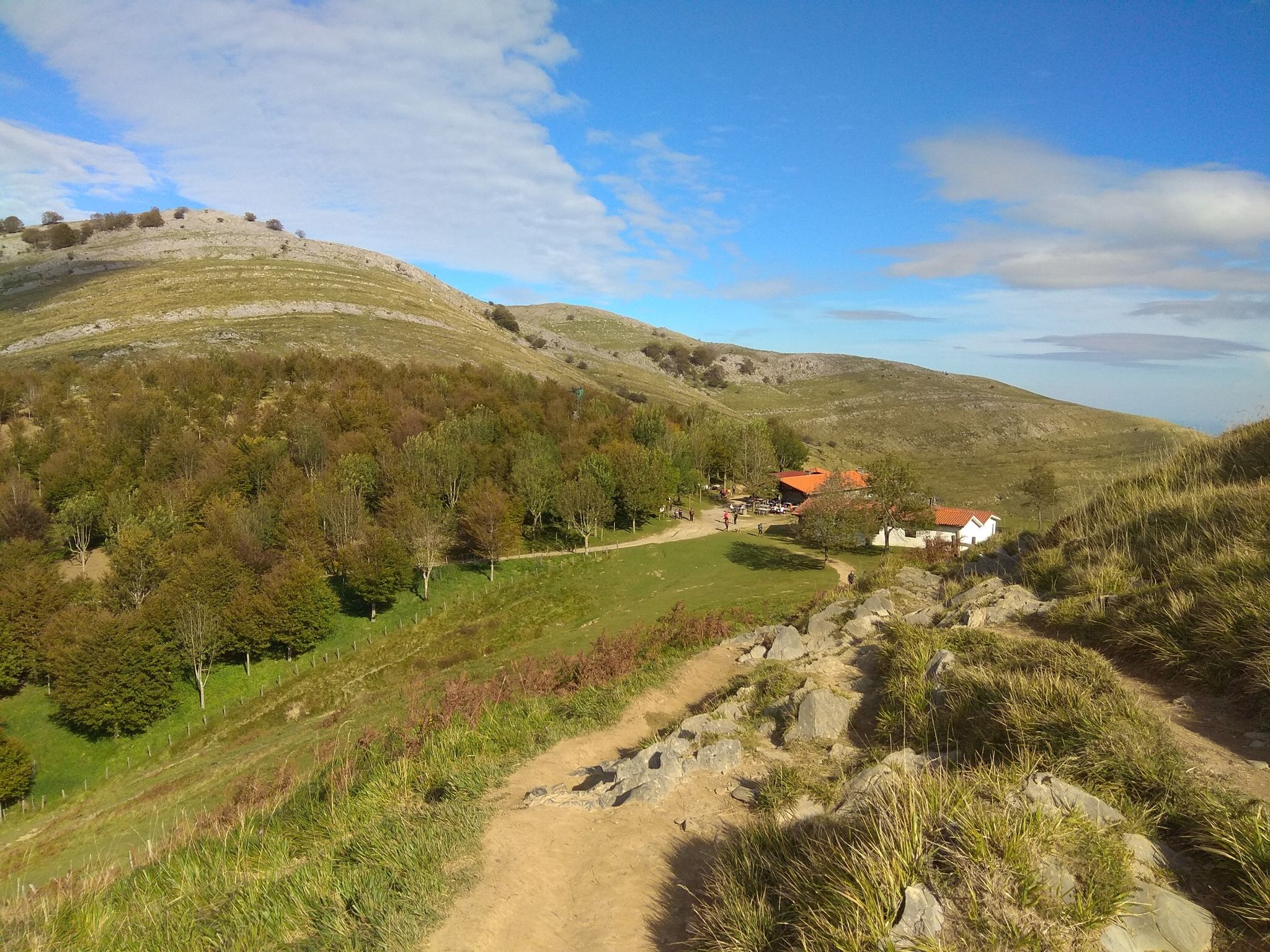ZELATUN