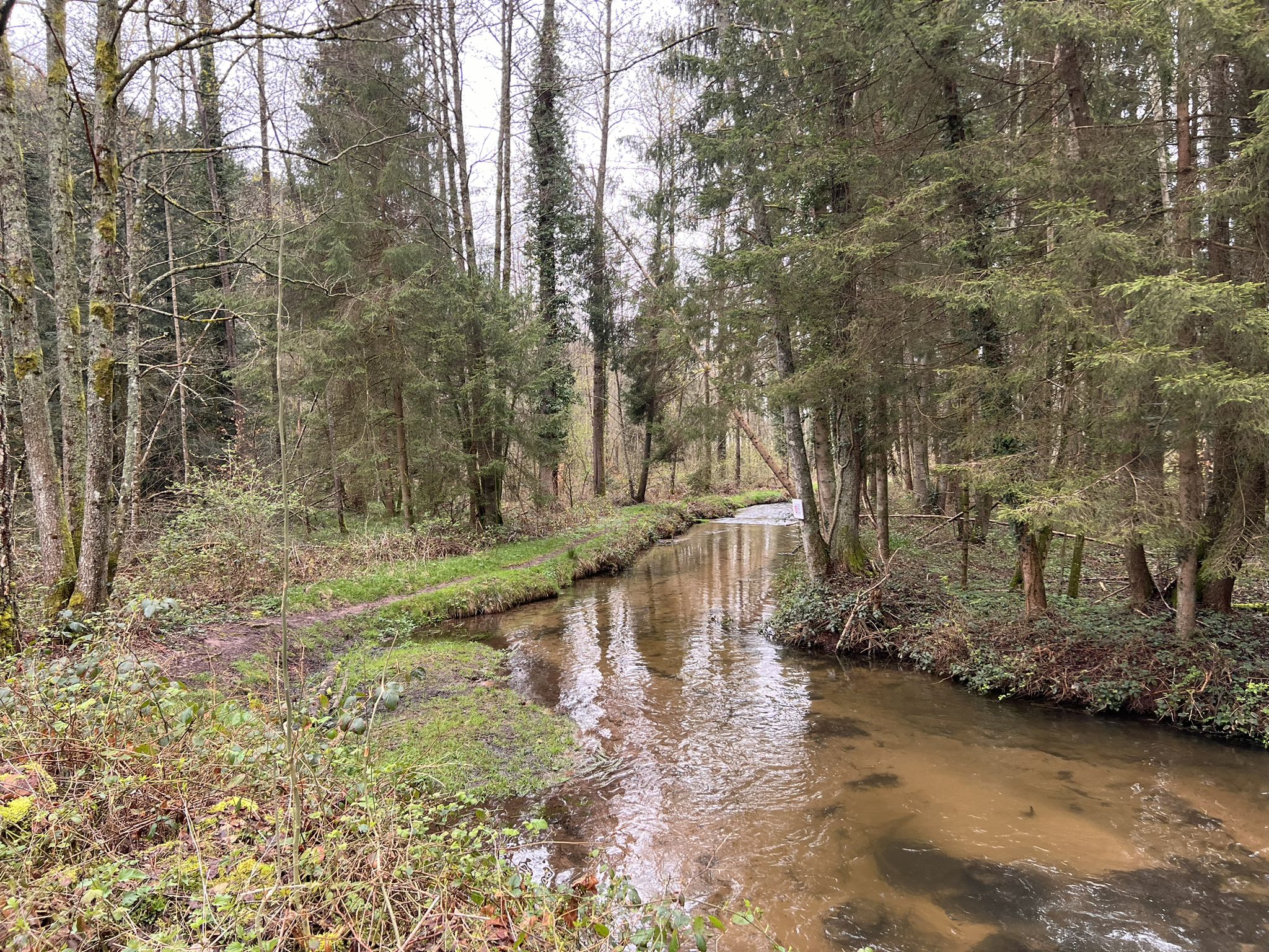 la vieille Sarre