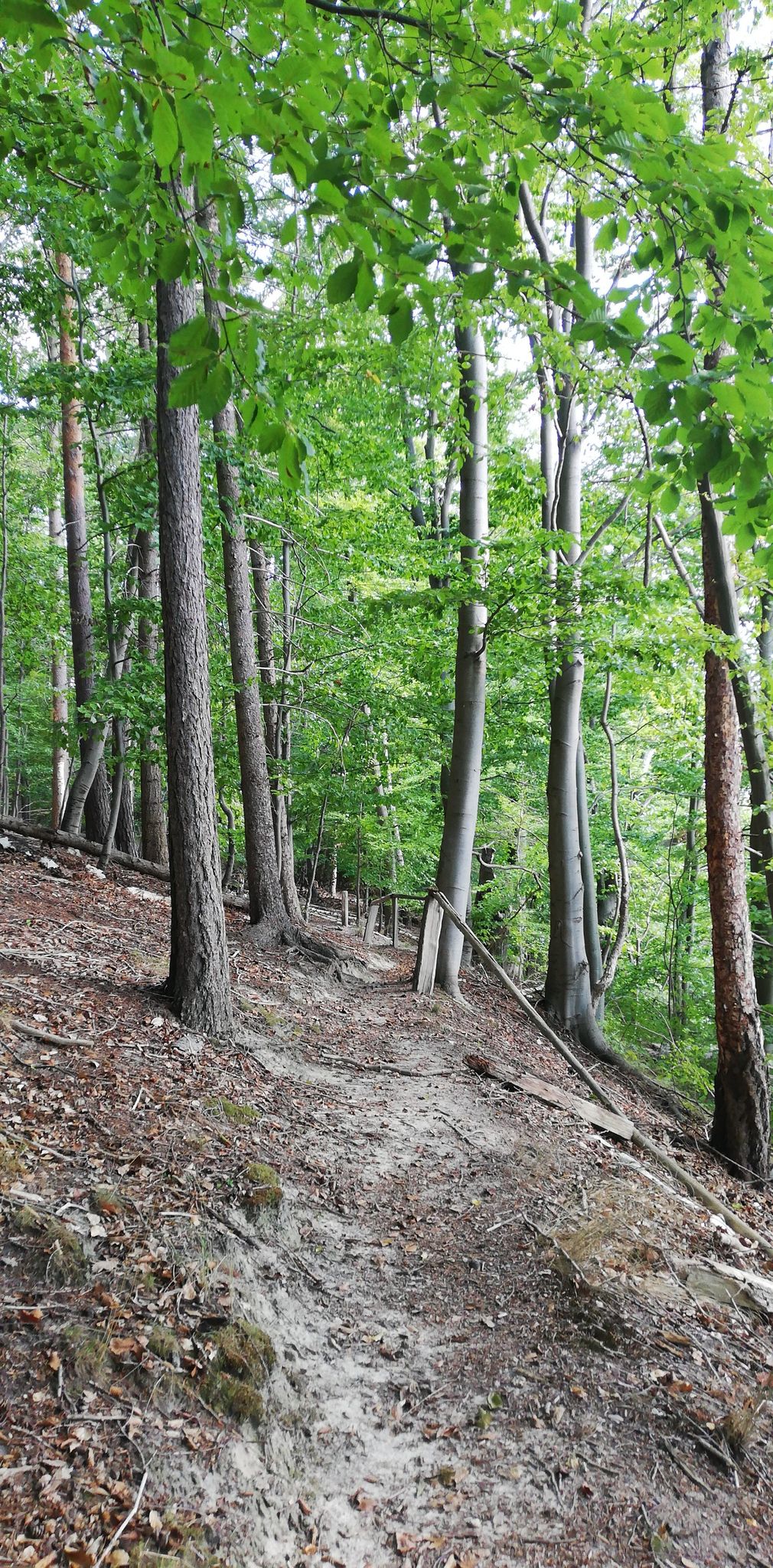 Ein bisschen Abenteuerlich
