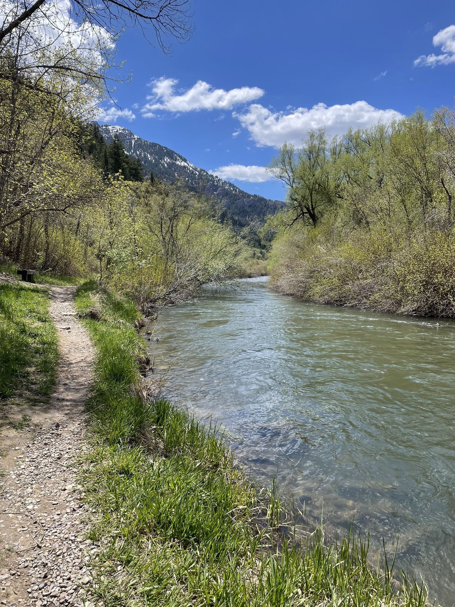 Dirt trail alongside a clear river, green trees, distant mountains under blue sky. - Crimson Trail Loop