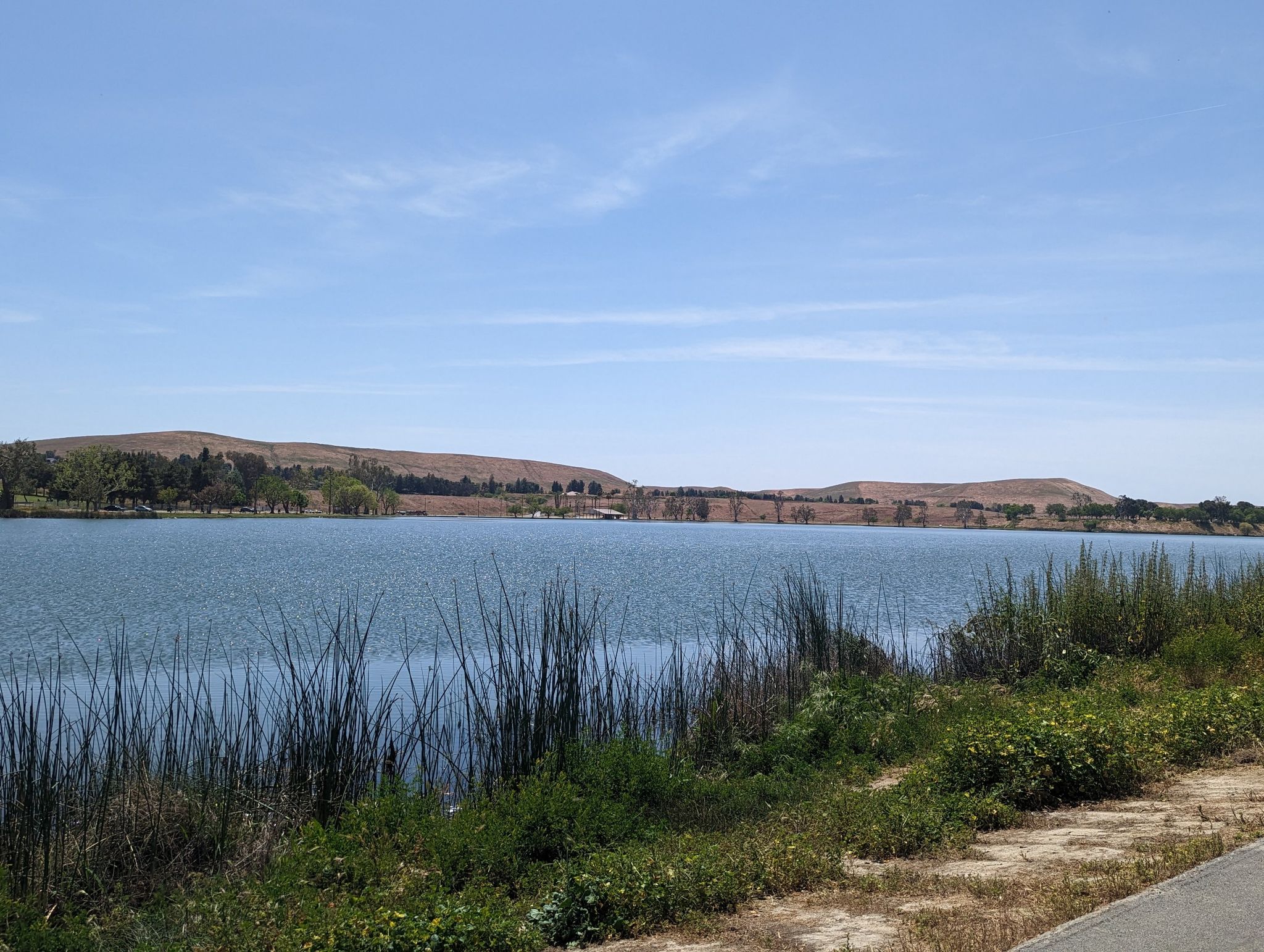 A wide lake with reeds in the foreground, distant hills, and a clear sky. - Deer Viewing Area – Lake Ming loop from Lake Ming County Park