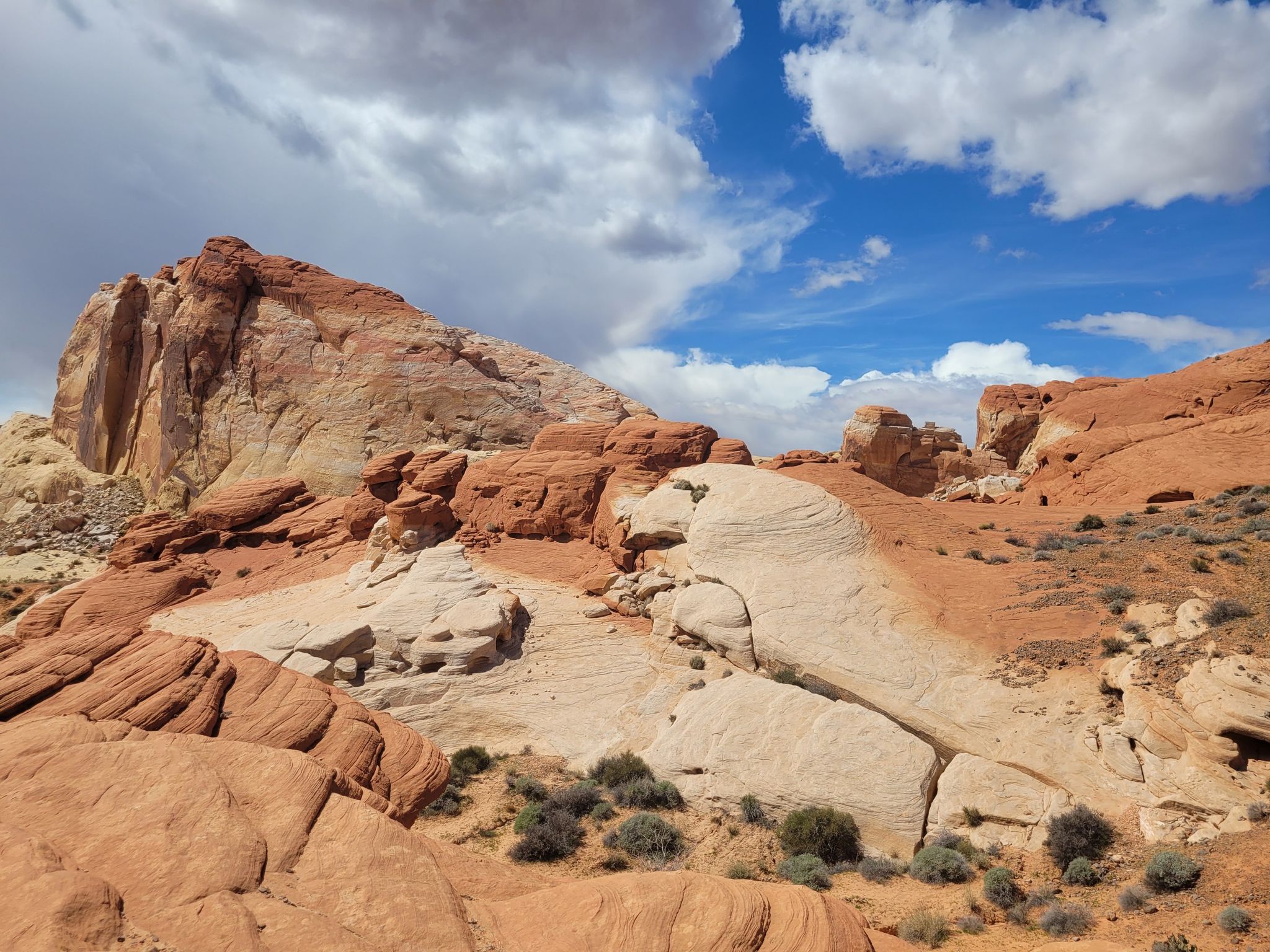 Vast desert with colorful red and white rock formations under a bright, cloudy sky. - White Domes Loop Trail
