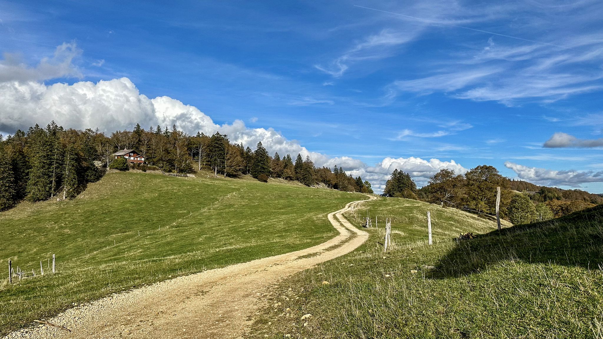 ...auf dem MTB Höhenweg Richtung Obergrenchenberg...
