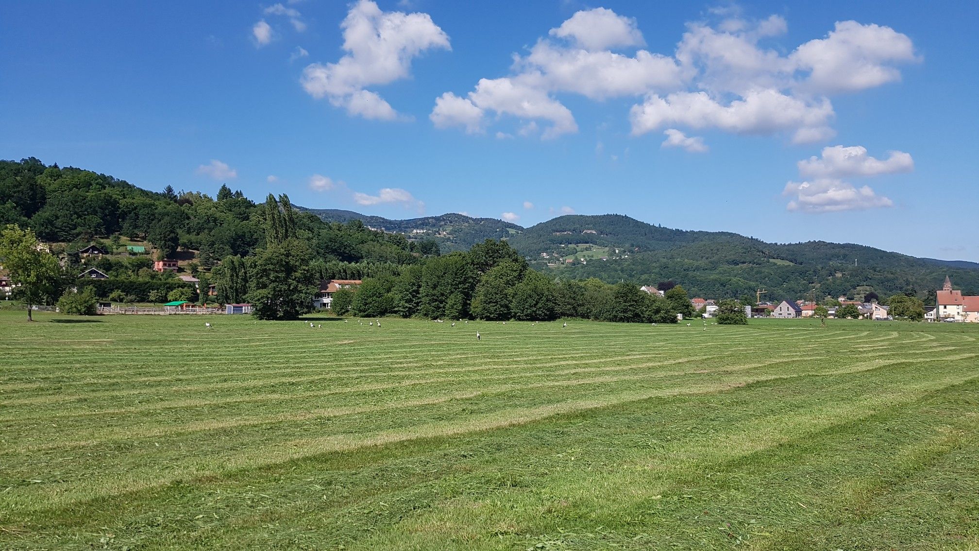 Storchenwiese
