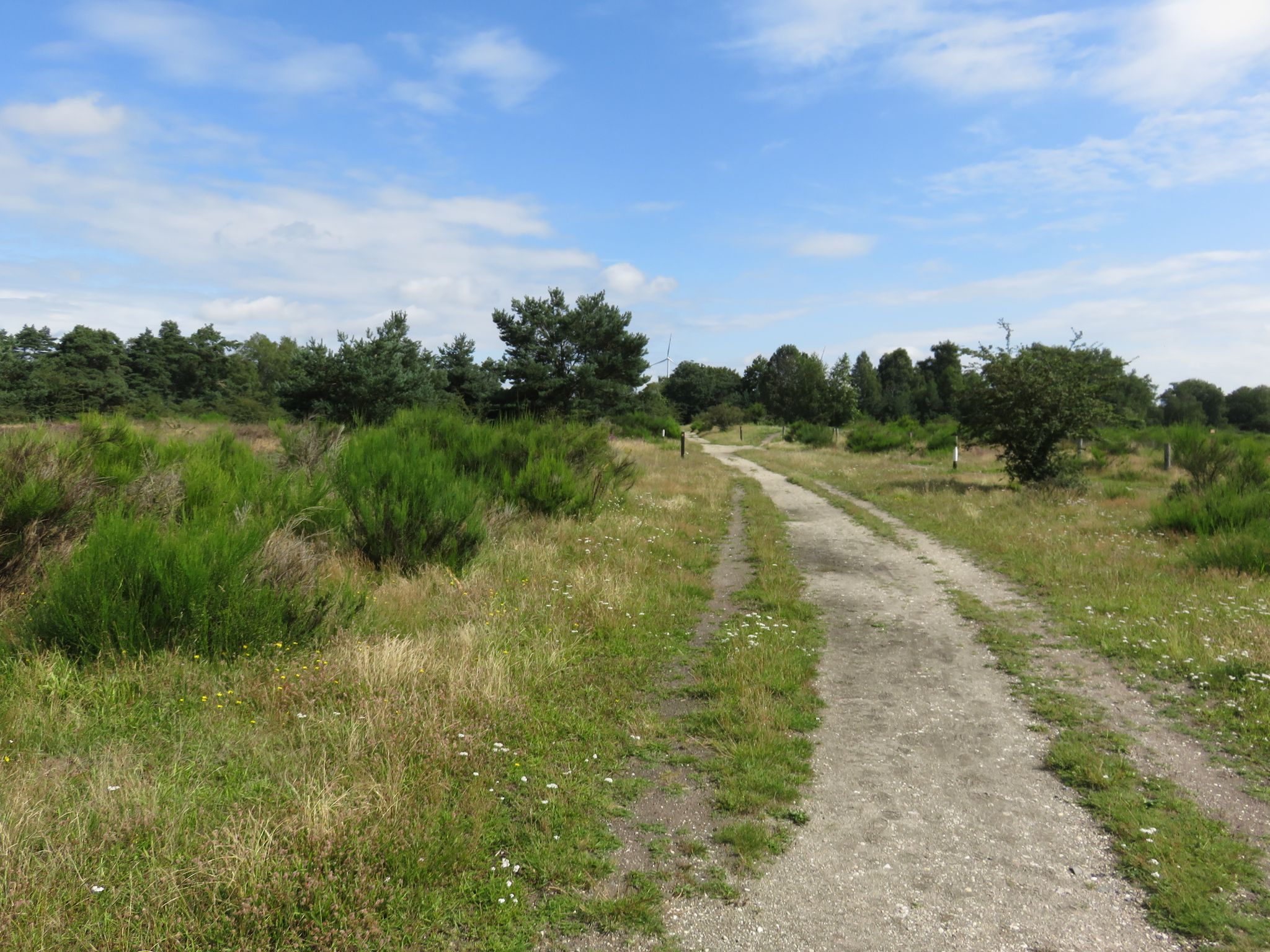 Venlo: Groote Heide