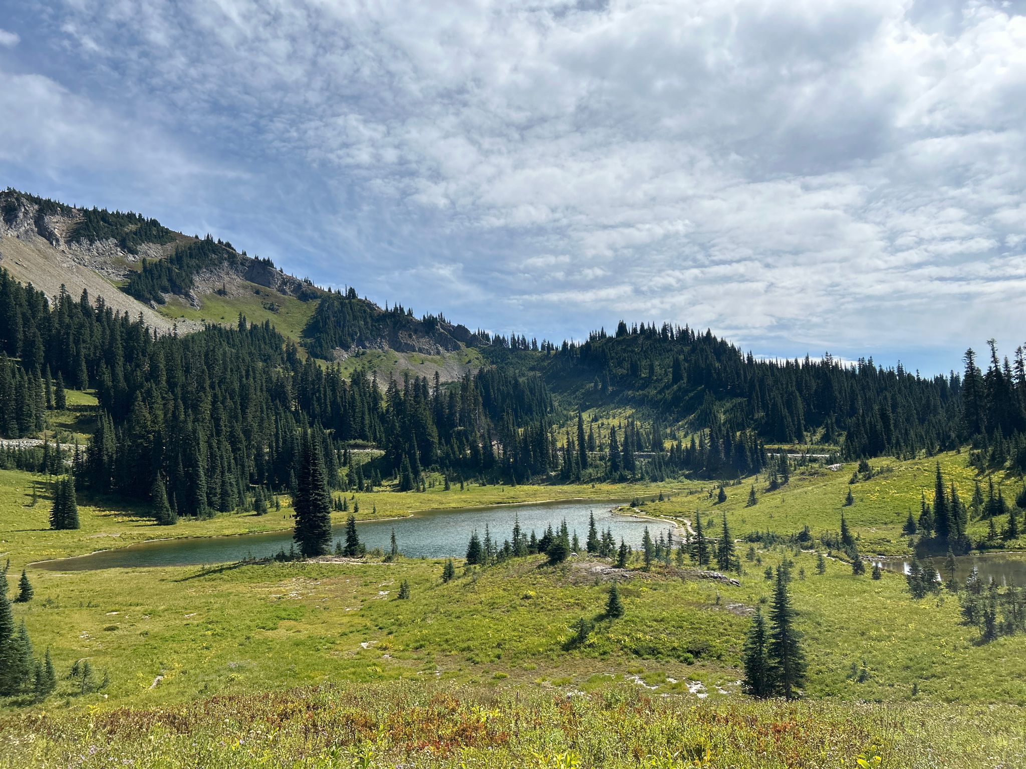 Wide view of a calm lake in a green meadow, surrounded by forested hills. - Chinook Pass – Tipsoo Lake loop from Chinook Pass