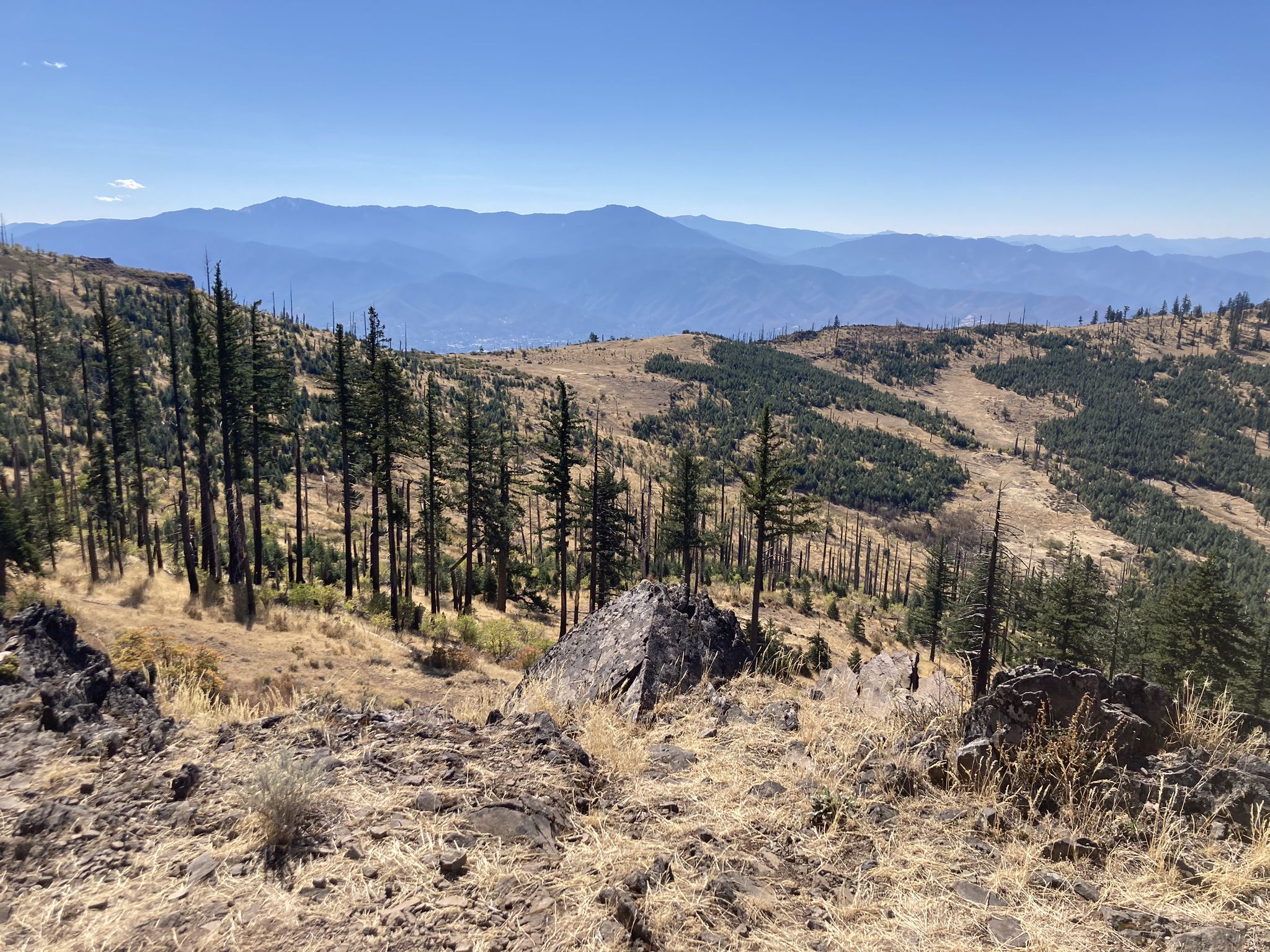 Sunny mountain landscape with dry grass, scattered pines, and distant blue peaks. - Grizzly Peak Loop Trail