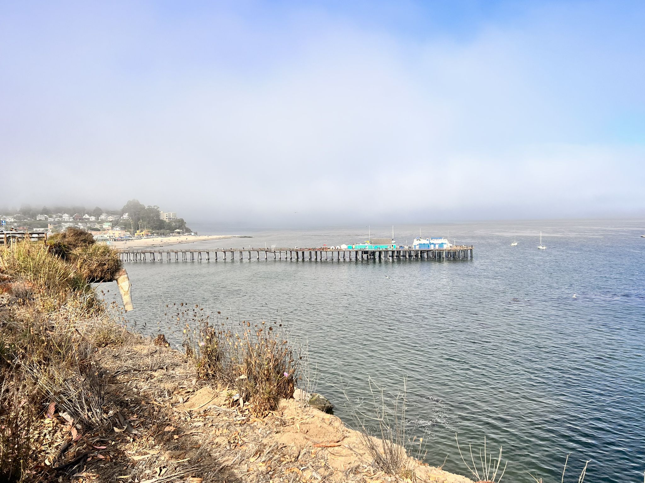 A long pier extends into the foggy ocean from a sandy cliff. - Capitola Village – Pleasure Point Beach loop from Pleasure Point
