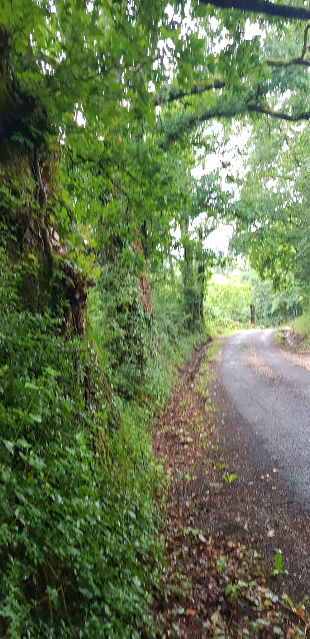 Kurz vor Figeac