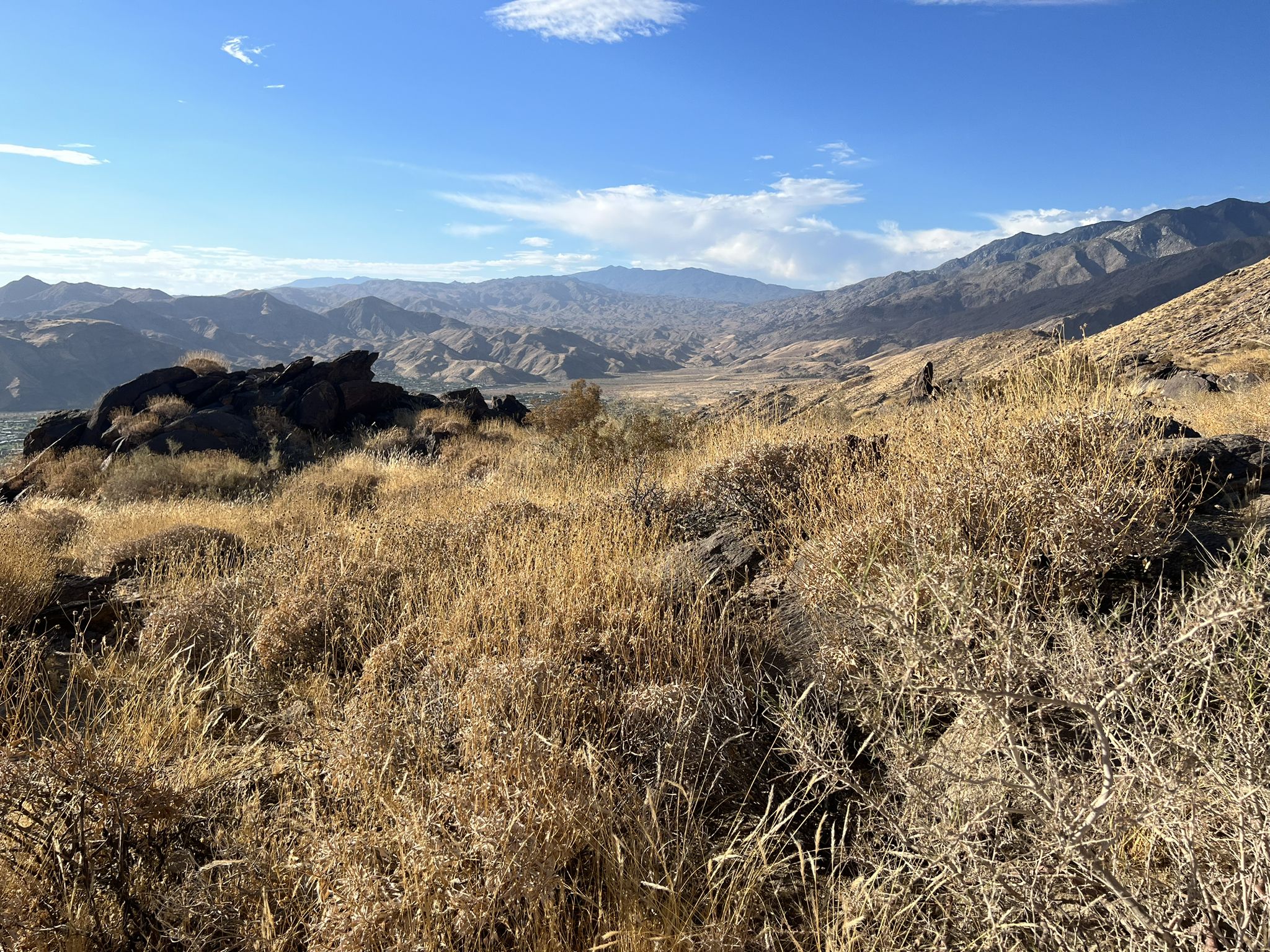 Vast desert landscape with dry golden grass, rocks, and distant mountains. - South Carl Lykken Trail - North Section