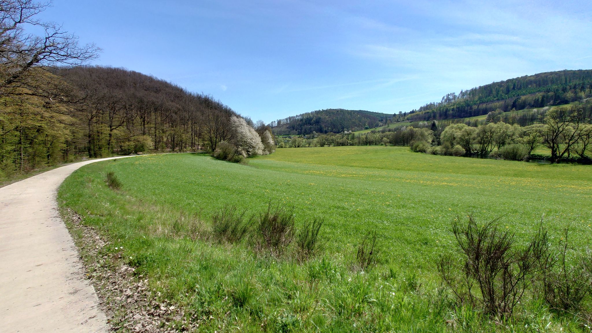 Ederauen bei Holzhausen/Eder