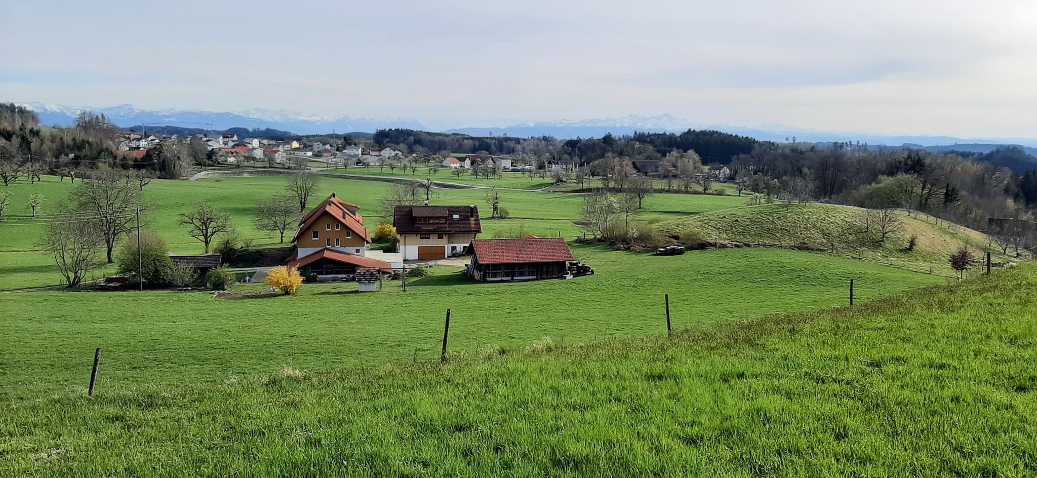 Panorama