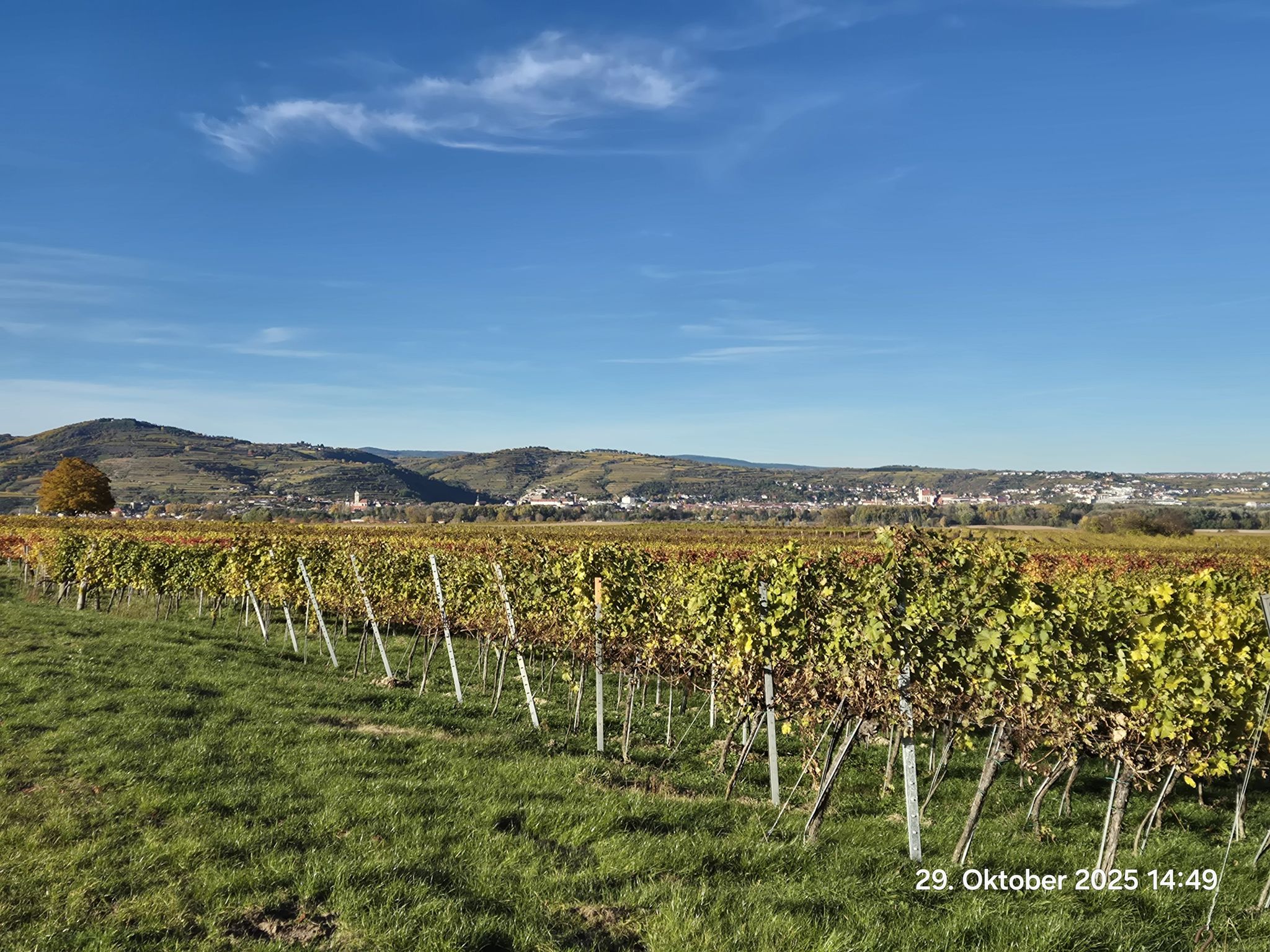 Stein und Krems an der Donau