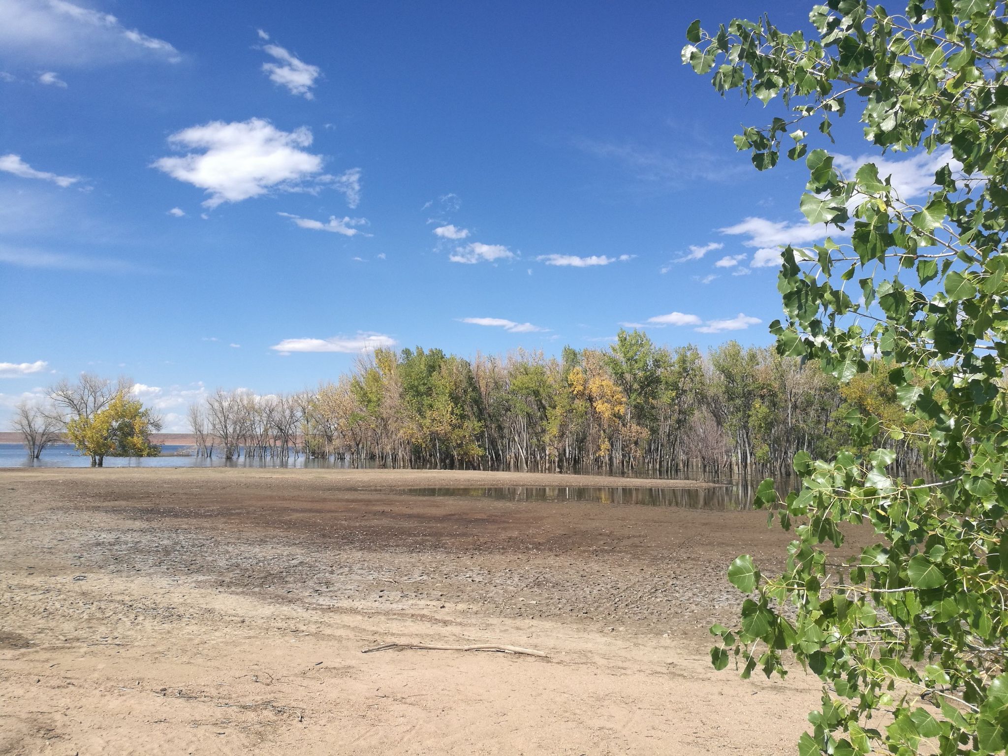 Dry, cracked earth in foreground, with water and trees under a bright blue sky. - View from Chatfield Dam – Wetlands View loop from Littleton Downtown