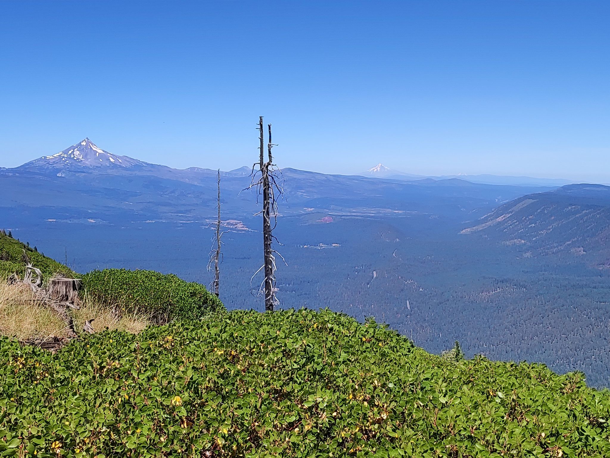Distant snow-capped mountains overlook a vast valley under a clear blue sky. - Black Butte Trail