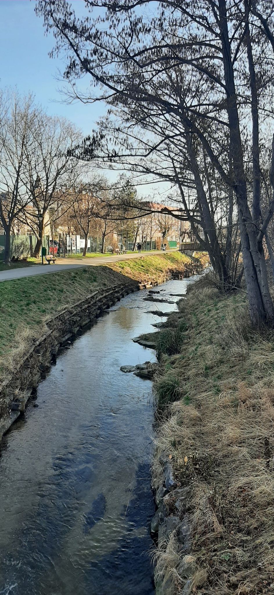 Mödlingbach