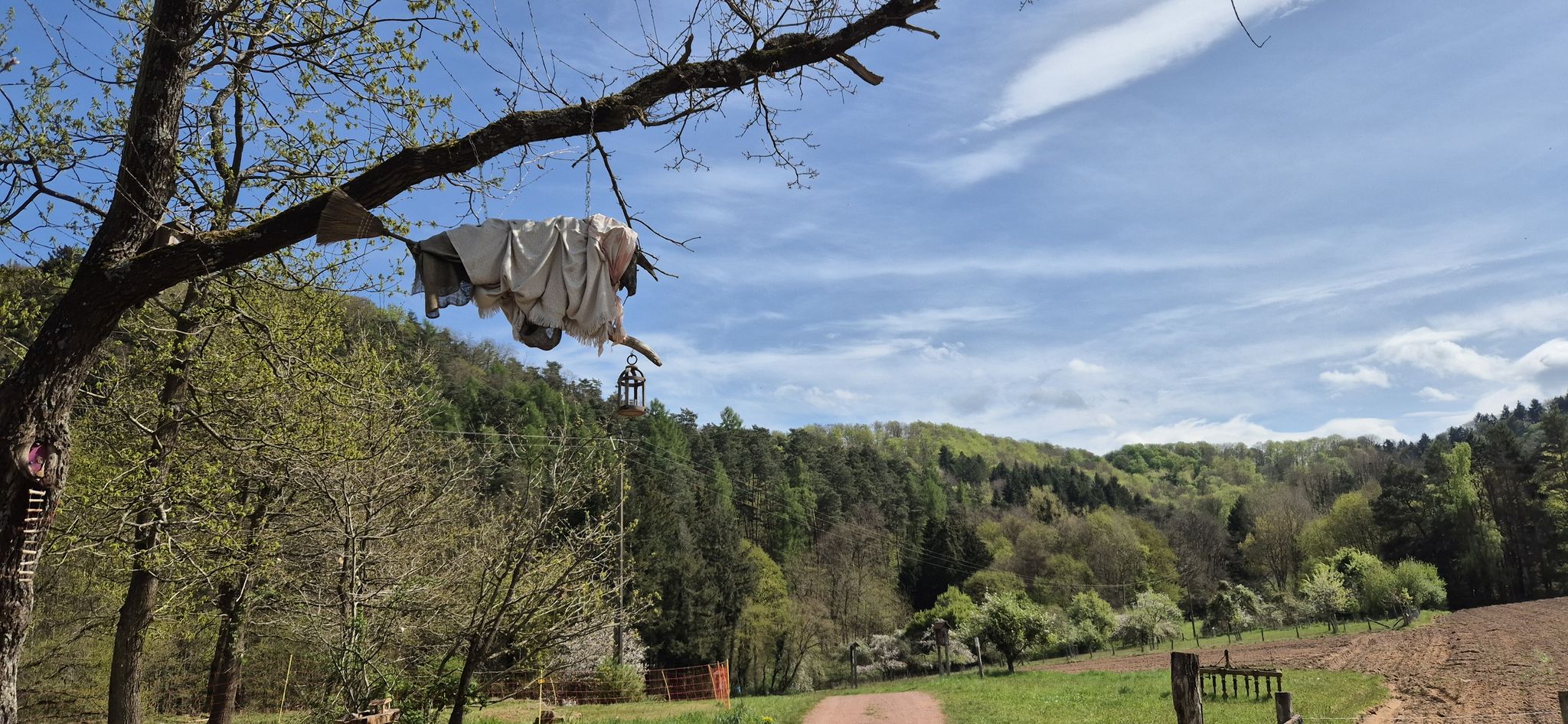 Flugversuche am Rastplatz "Hexentanz"