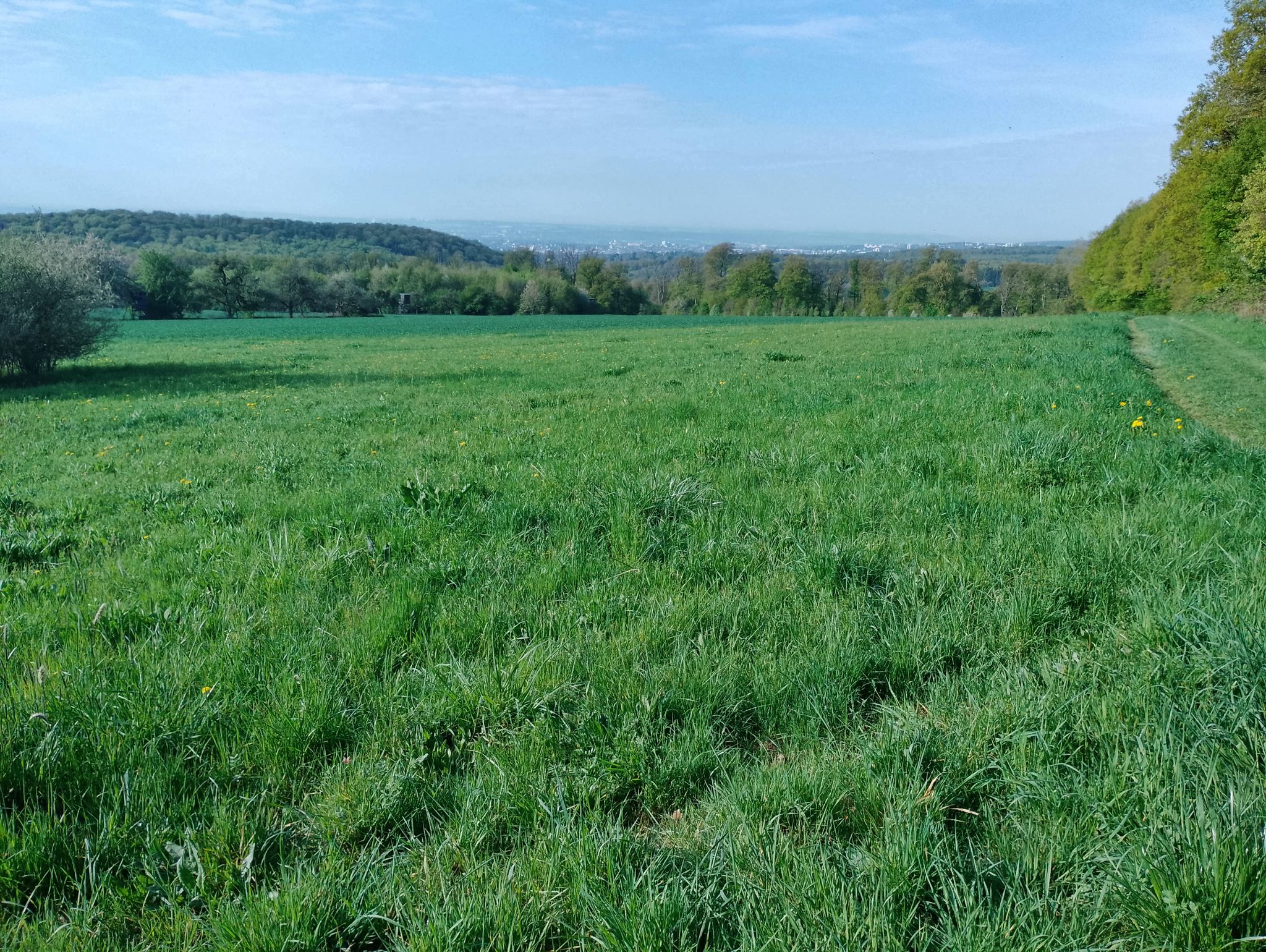 Lebenswäldchen Bärenherz