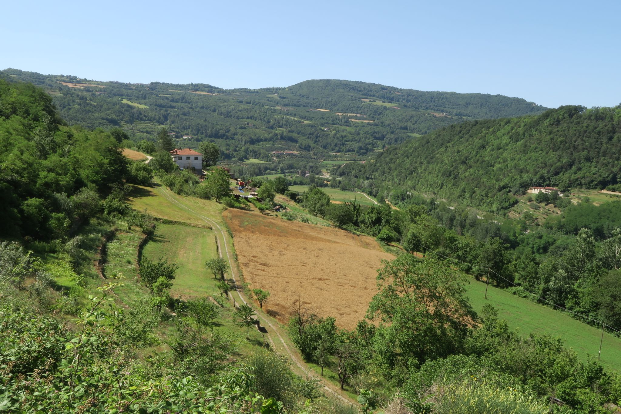 Valle Bormida vista poco sopra Cortemilia