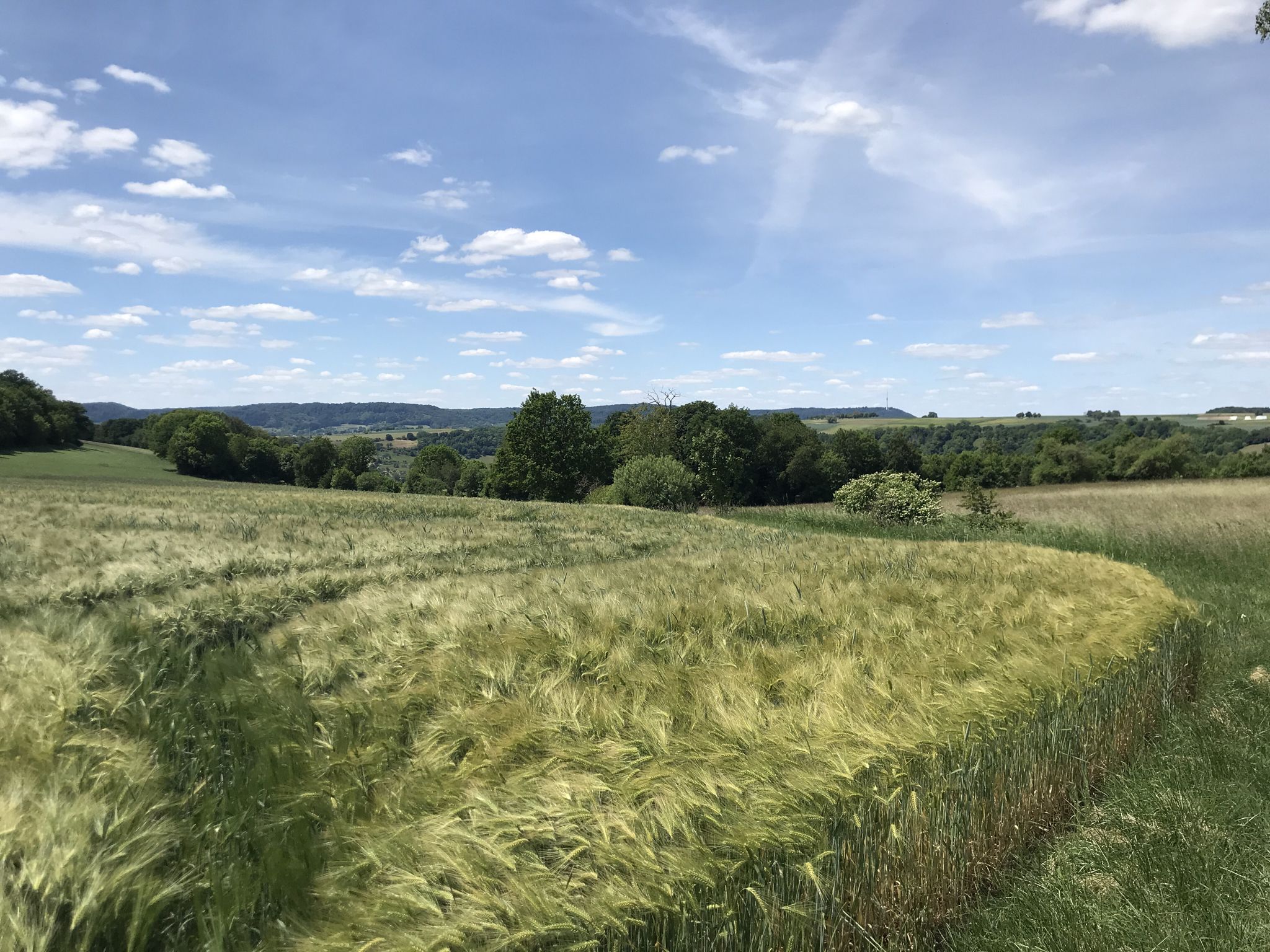 Die Waldenburger Berge