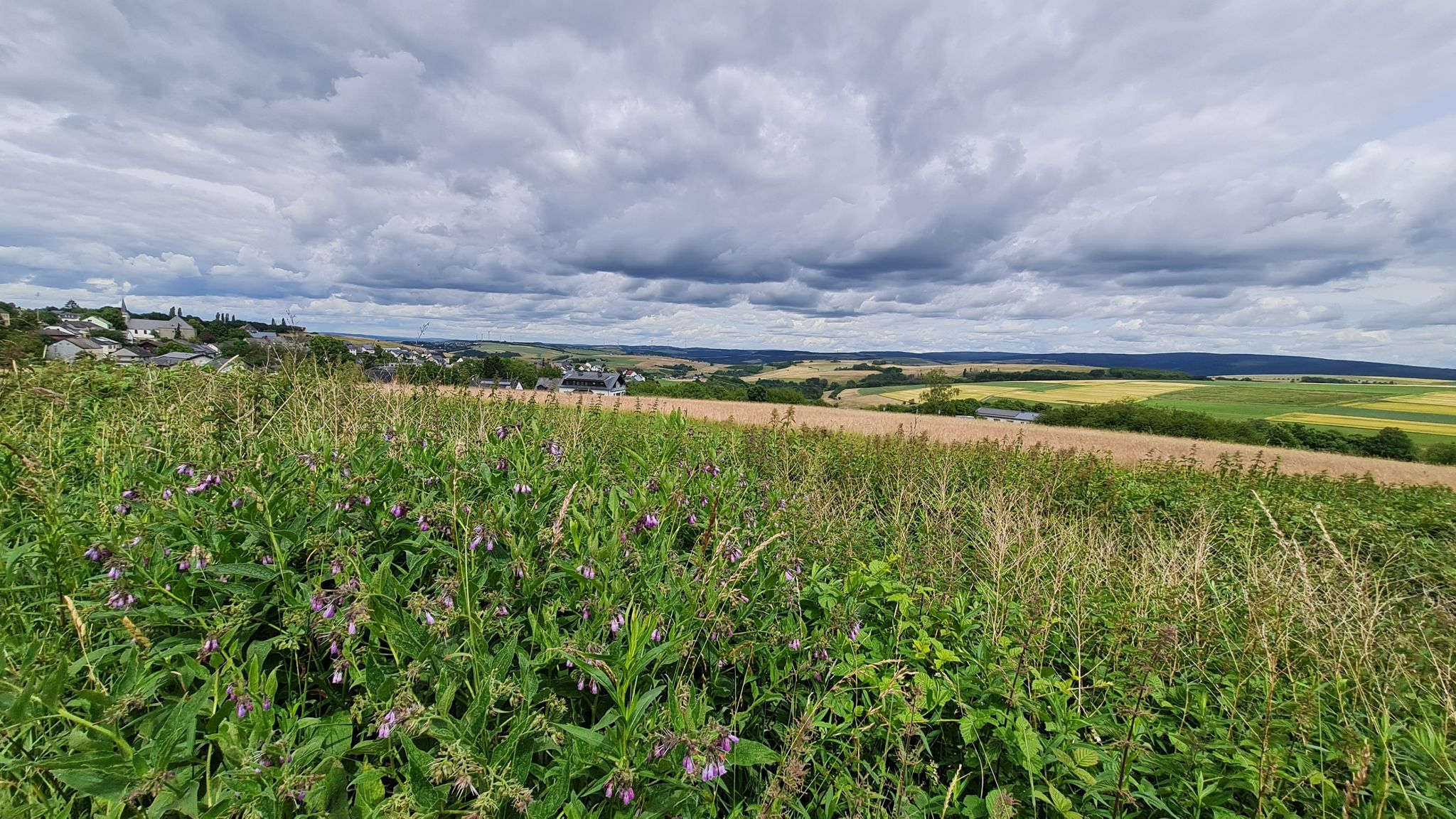 Auf der anderen Seite des Bergkamms...Weitblick nach Franzenheim, Pluwig...