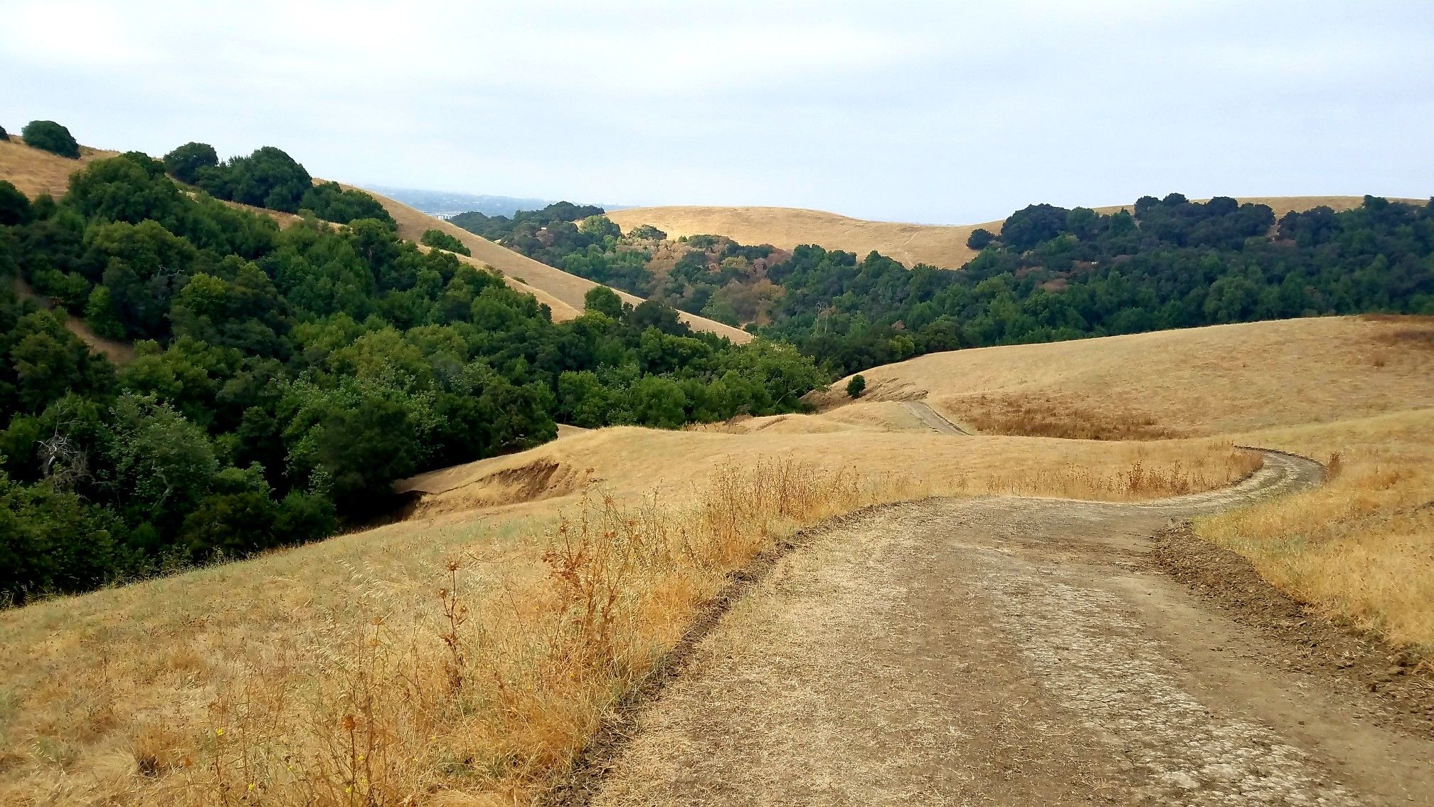 Dirt road winding through golden hills with green trees under a cloudy sky. - High Ridge, Meyers Ranch and Dry Creek Trail