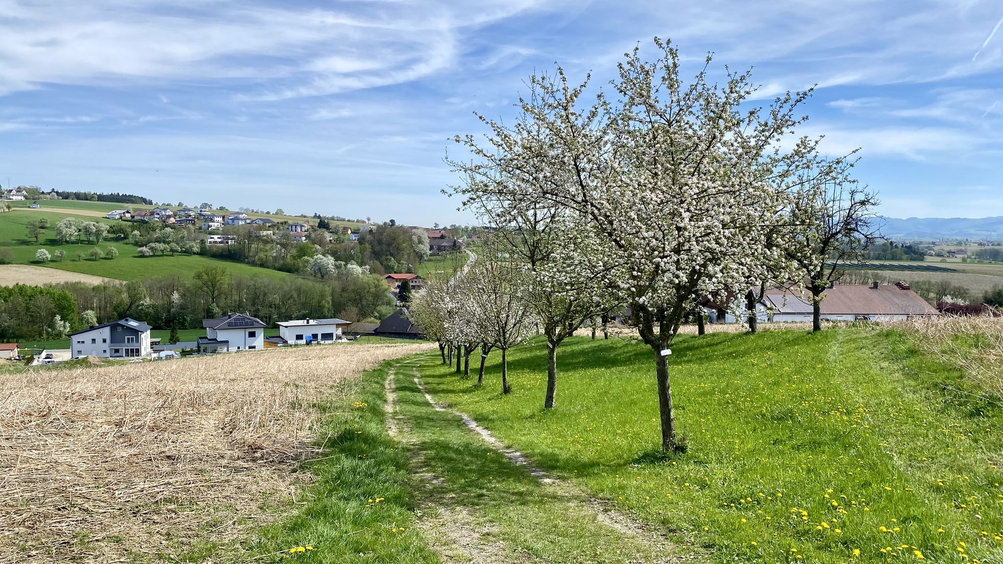 Wolfsbach: am Meditationsweg
