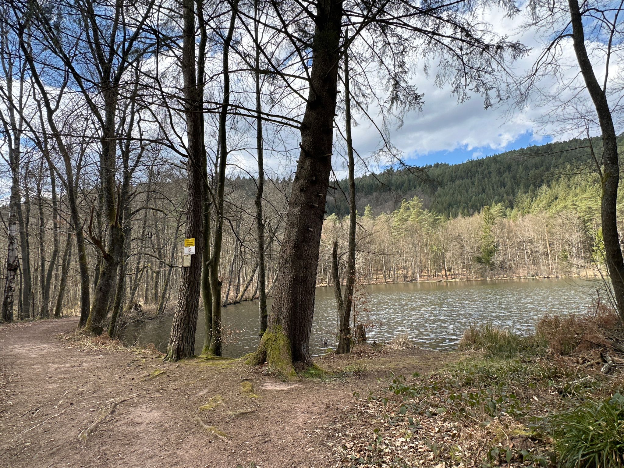 kleiner Weiher nach dem Frauenwoog