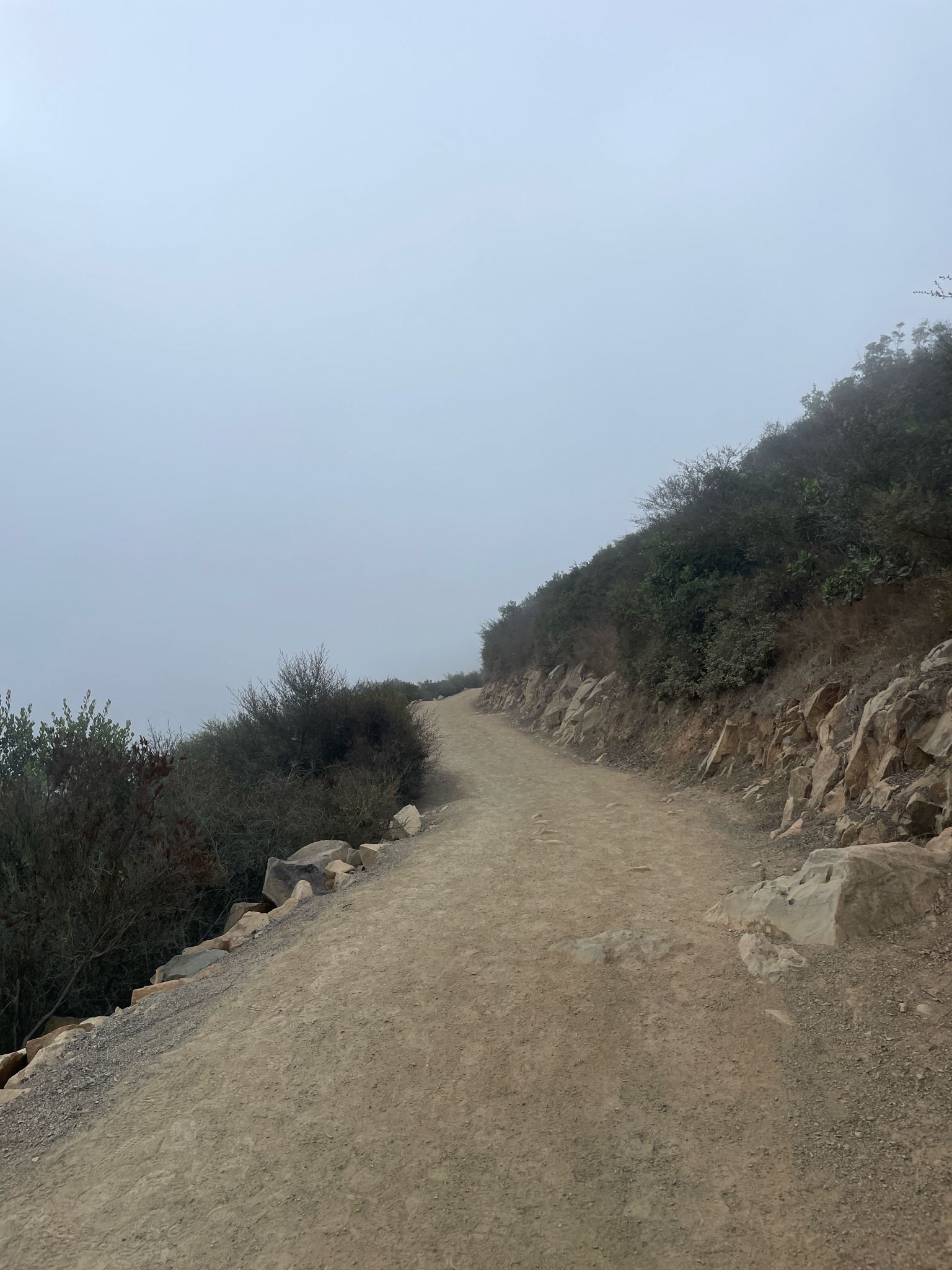 A dirt path winds along a hillside under a foggy, overcast sky. - San Elijo Road Climb loop from San Elijo Hills