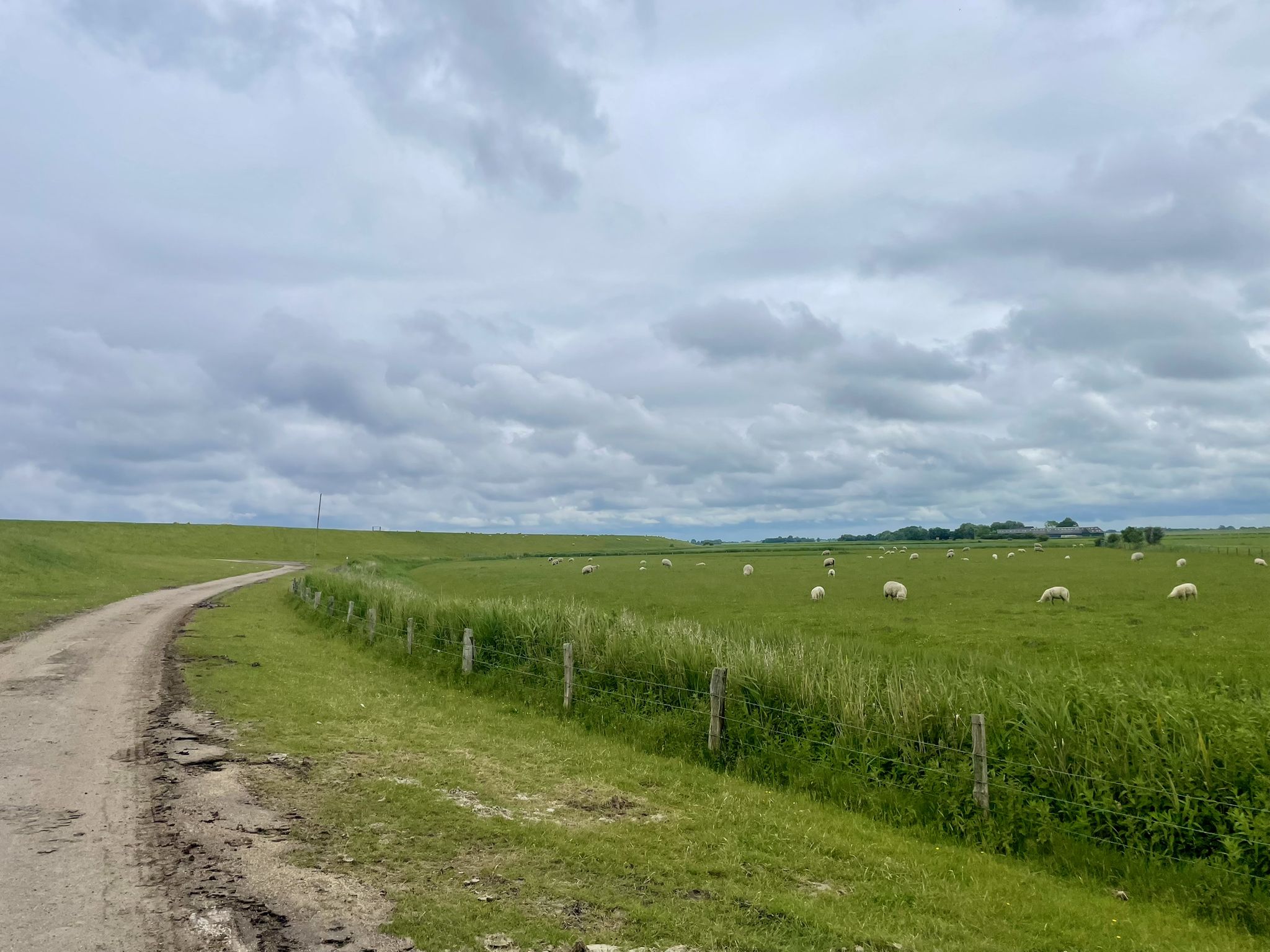 Im Norderheverkoog