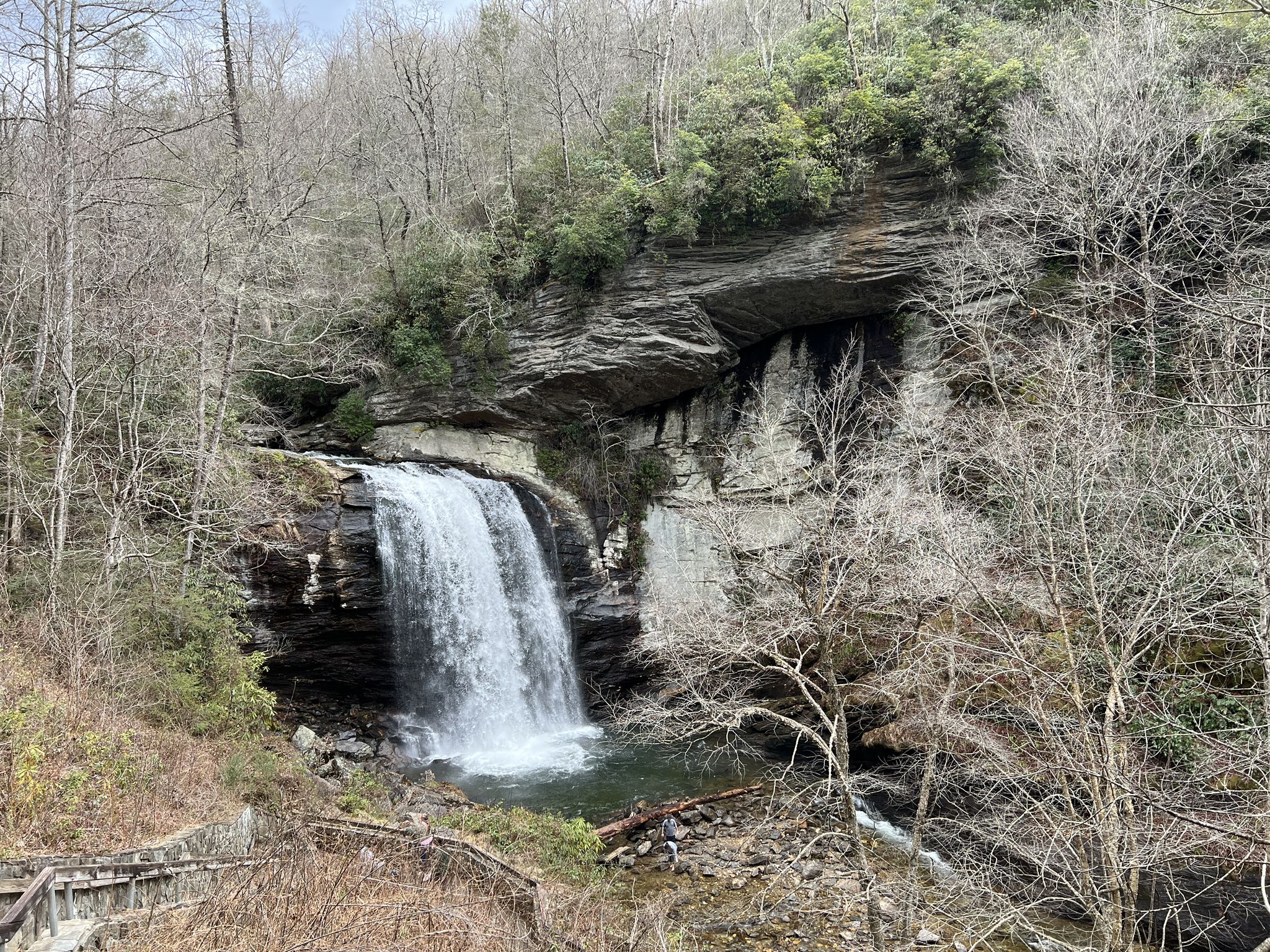 A powerful waterfall cascades into a pool surrounded by bare trees and rocky cliffs. - Looking Glass Falls – Looking Glass Falls Viewpoint loop from Brevard