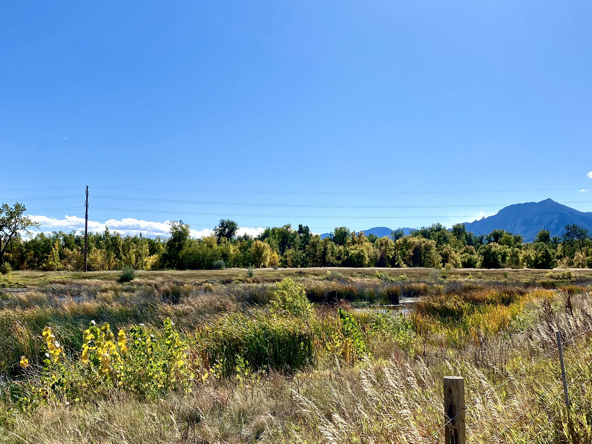 A vast, sunny field with distant mountains under a clear blue sky. - South Boulder Creek Trail – Centennial Trail loop from Eldorado Springs