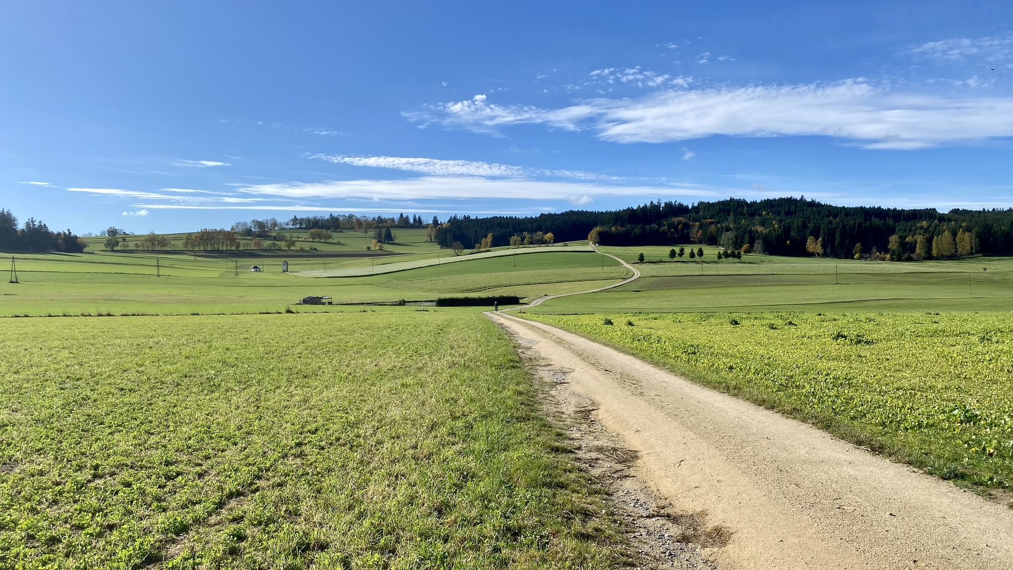 Hinterkönigschlag