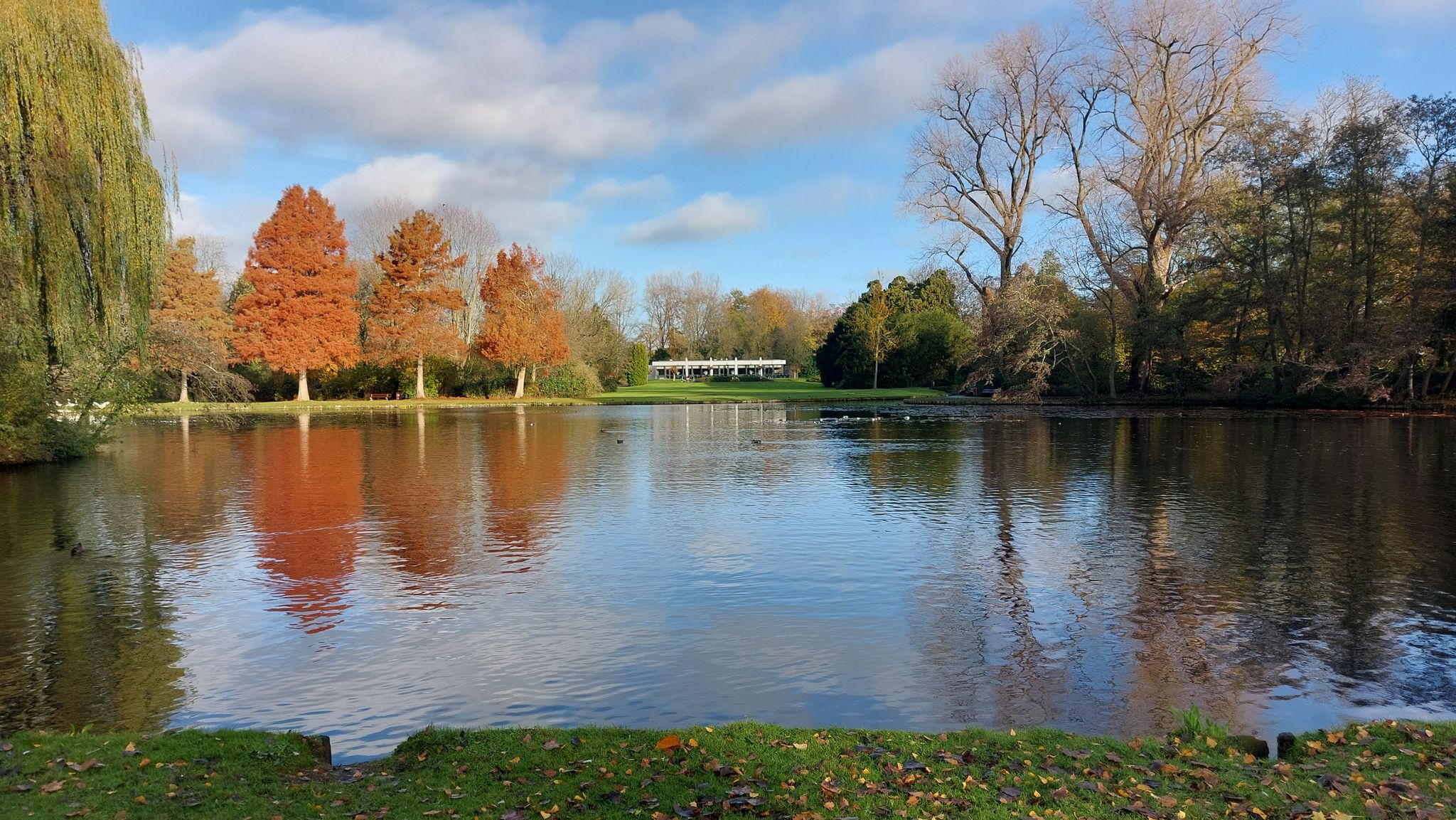 mijn zo geliefde "Wantijpark" tevens mijn trouwlocatie