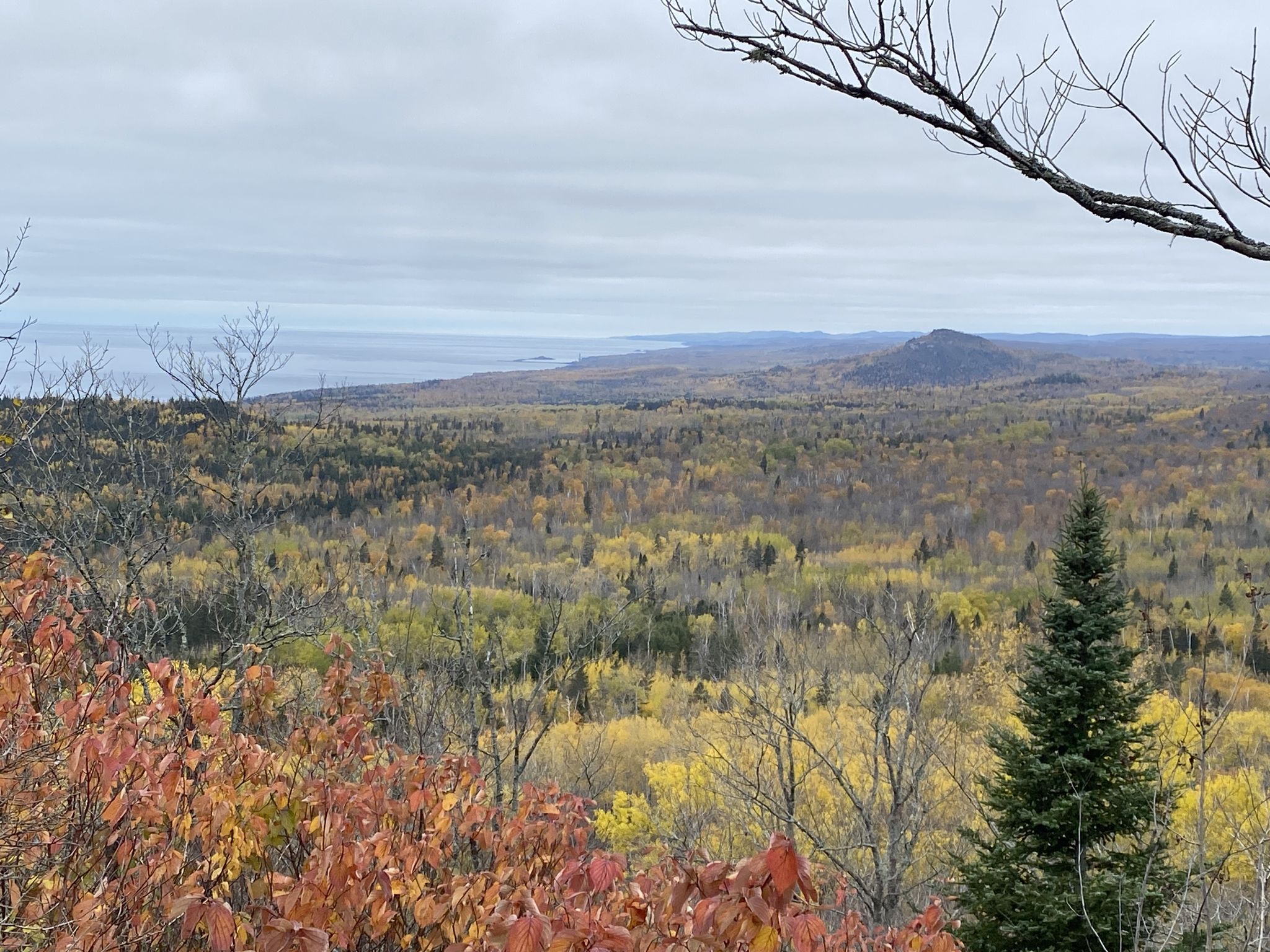 Overcast view of an expansive autumn forest with distant water and hills. - Leveaux Mountain Loop Trail