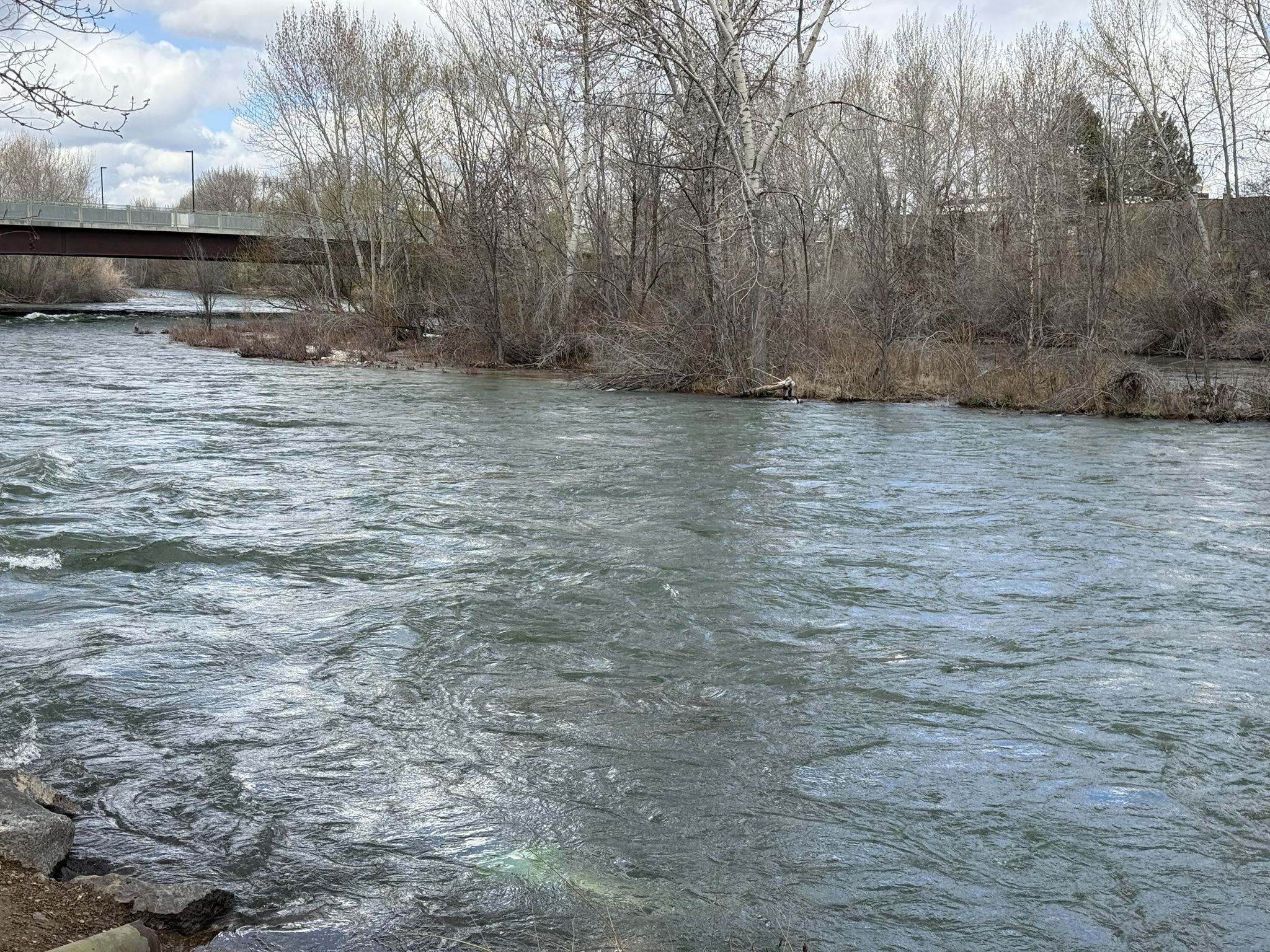 A wide river flows past bare trees under a cloudy sky, with a bridge. - Boise River – Boise River Greenbelt loop from Peace Valley Overlook Reserve