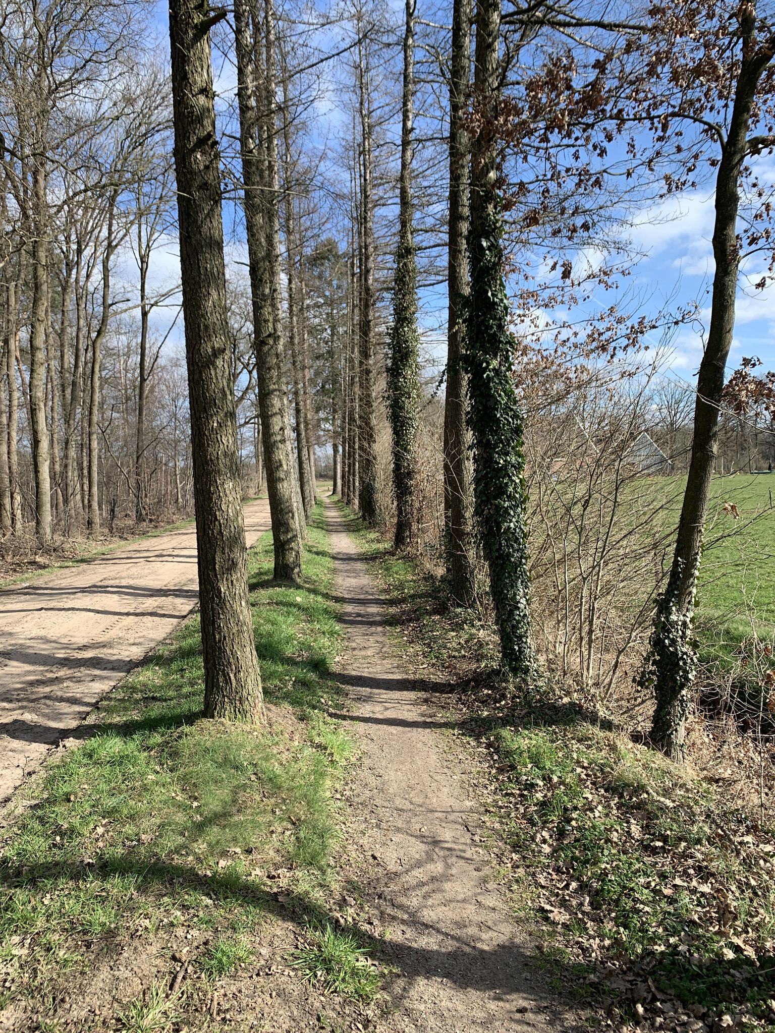 Allee Allee Allee