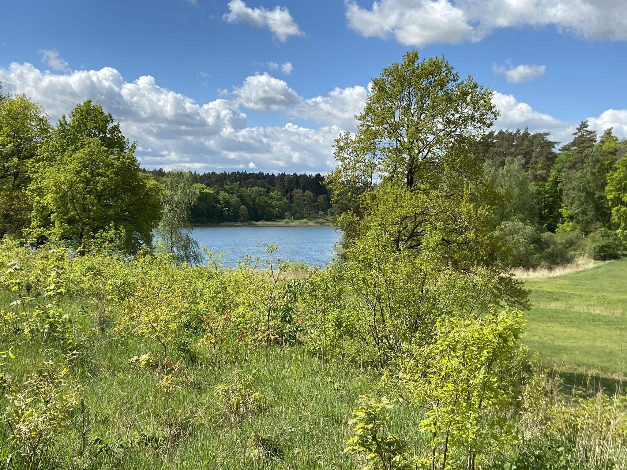 Kleister See